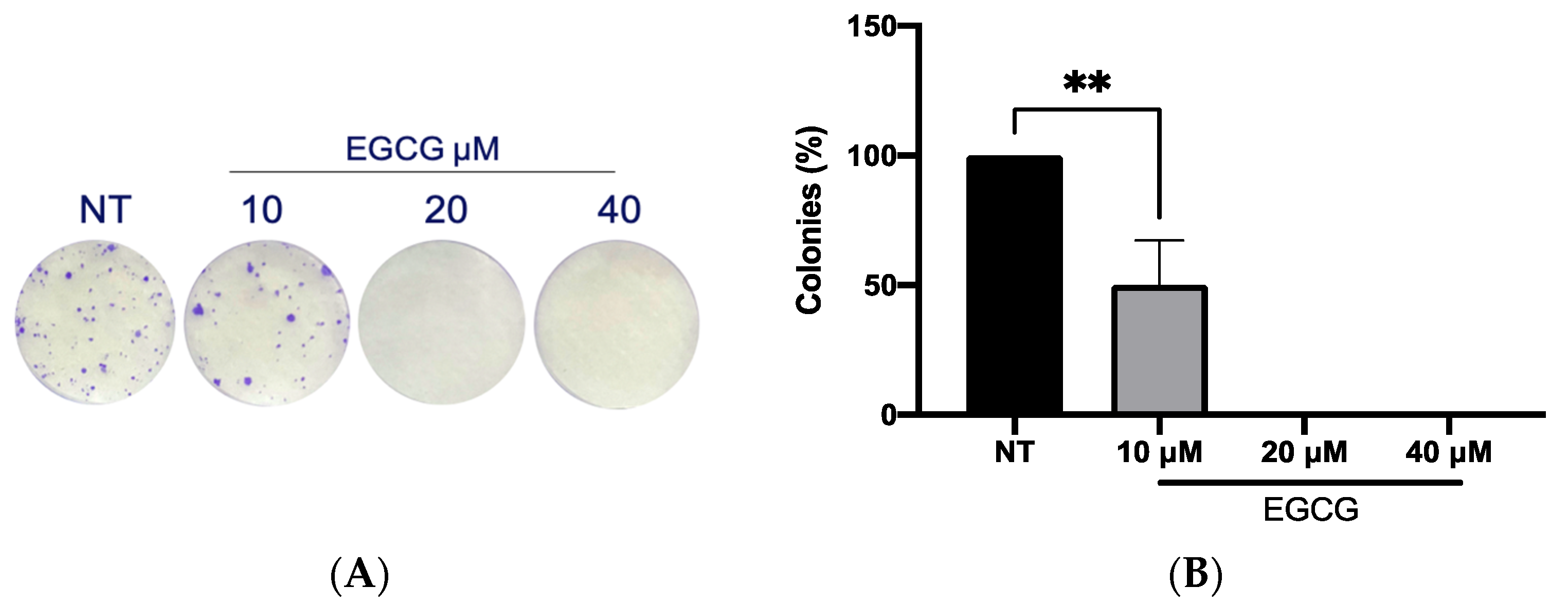 Ijms 25 08683 g004 Ijms 25 08683 g004