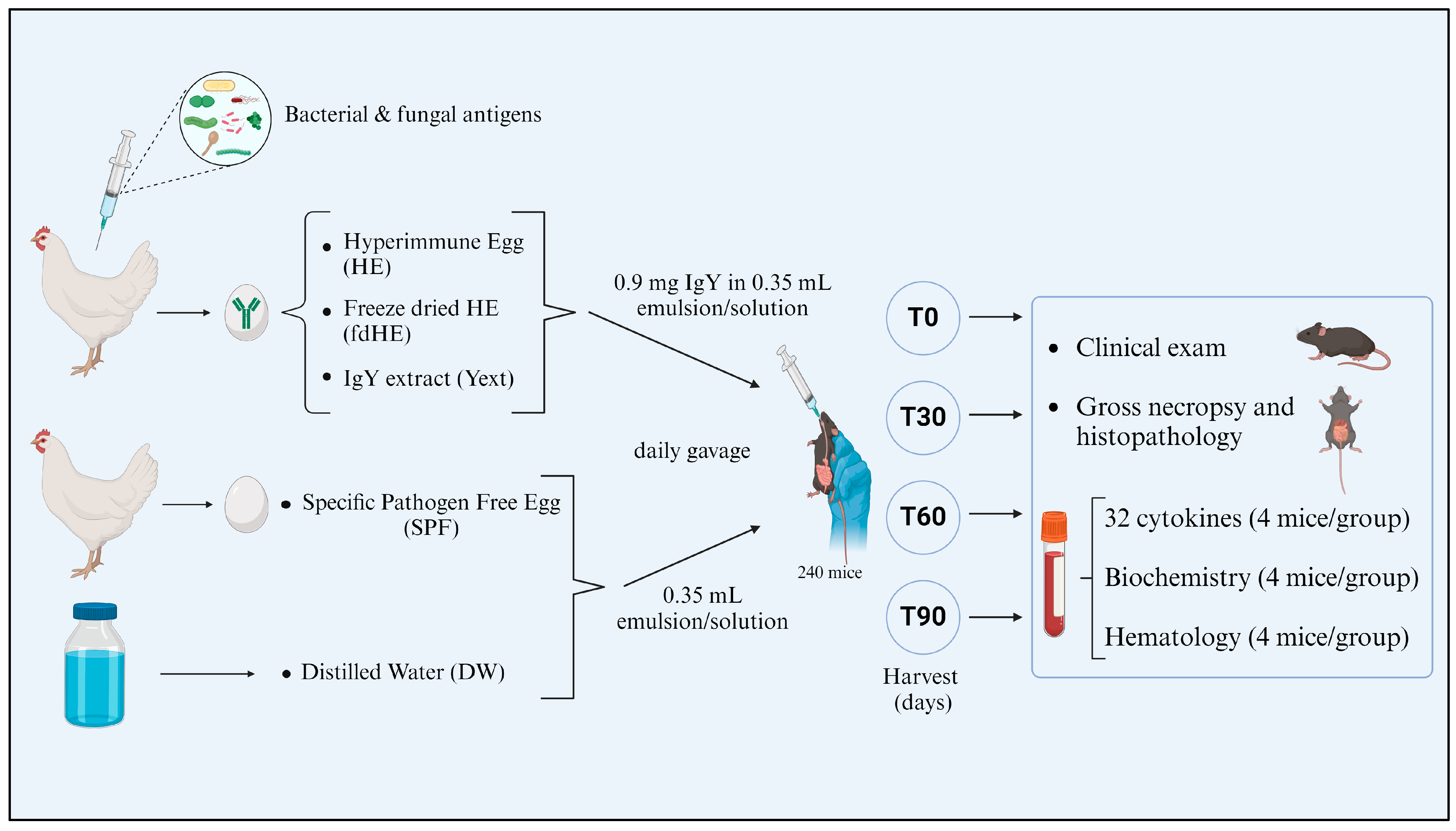 Ijms 25 08701 g007 Ijms 25 08701 g007