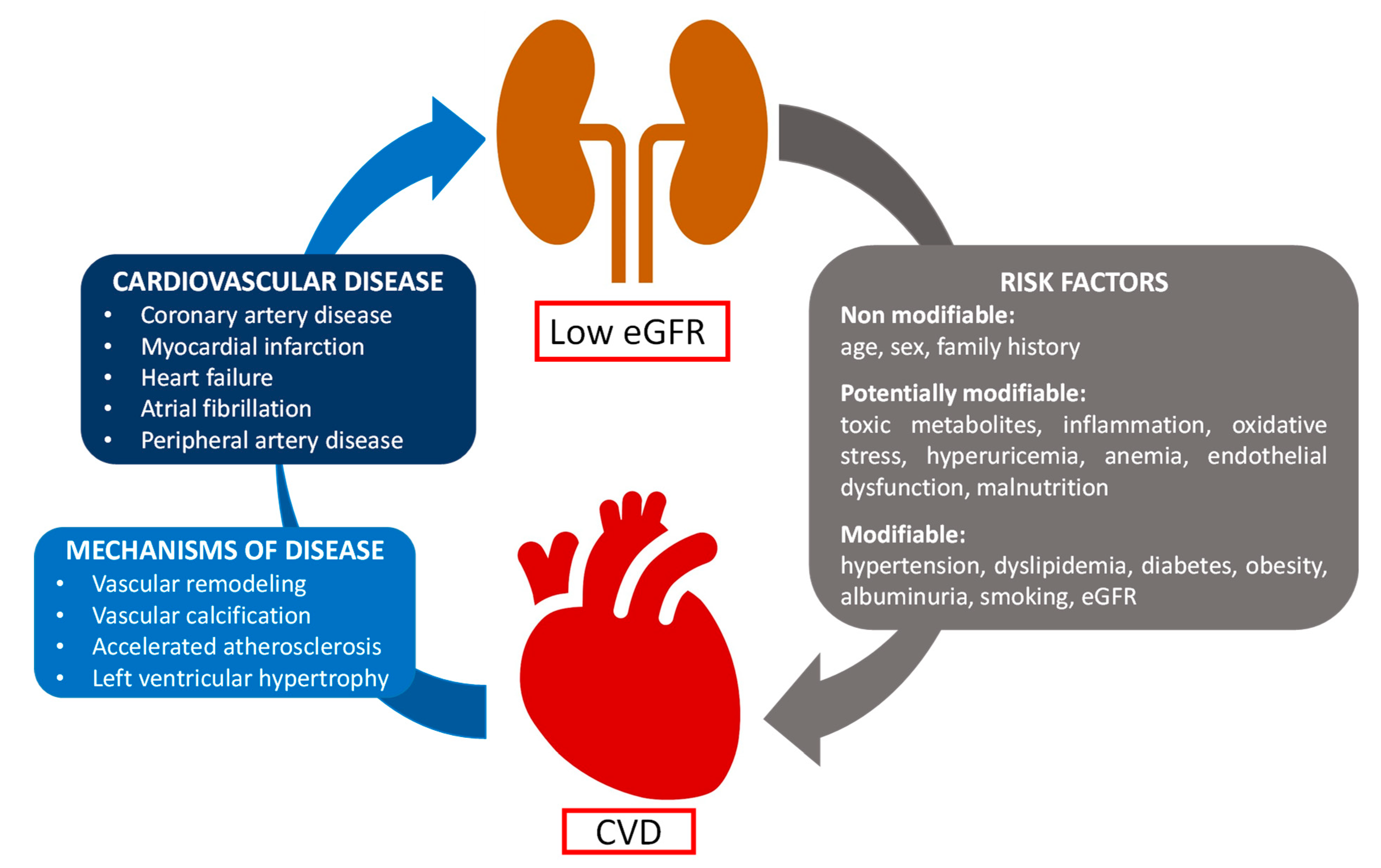 Hallmarks for Thrombotic and Hemorrhagic Risks in Chronic Kidney Disease  Patients