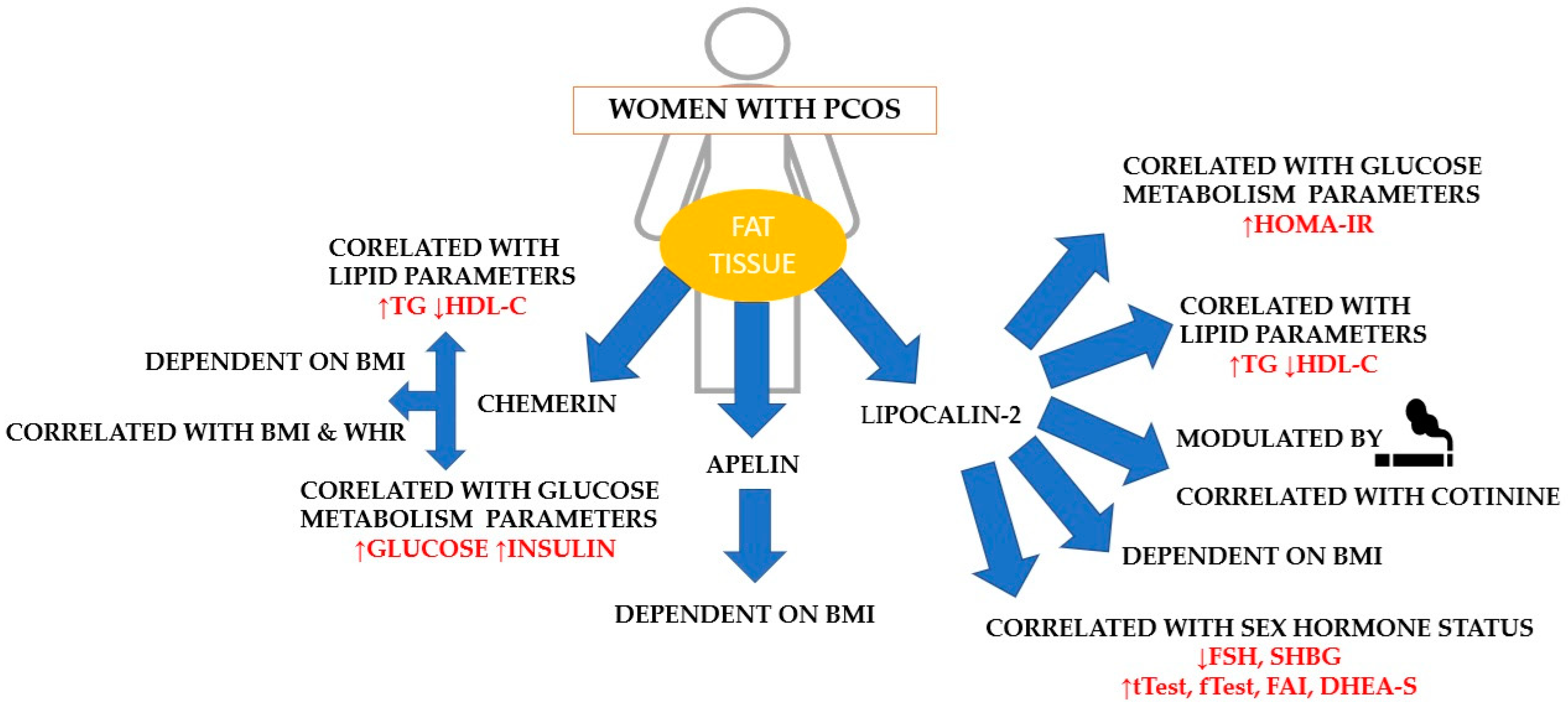 Ijms 25 08713 g001 Ijms 25 08713 g001