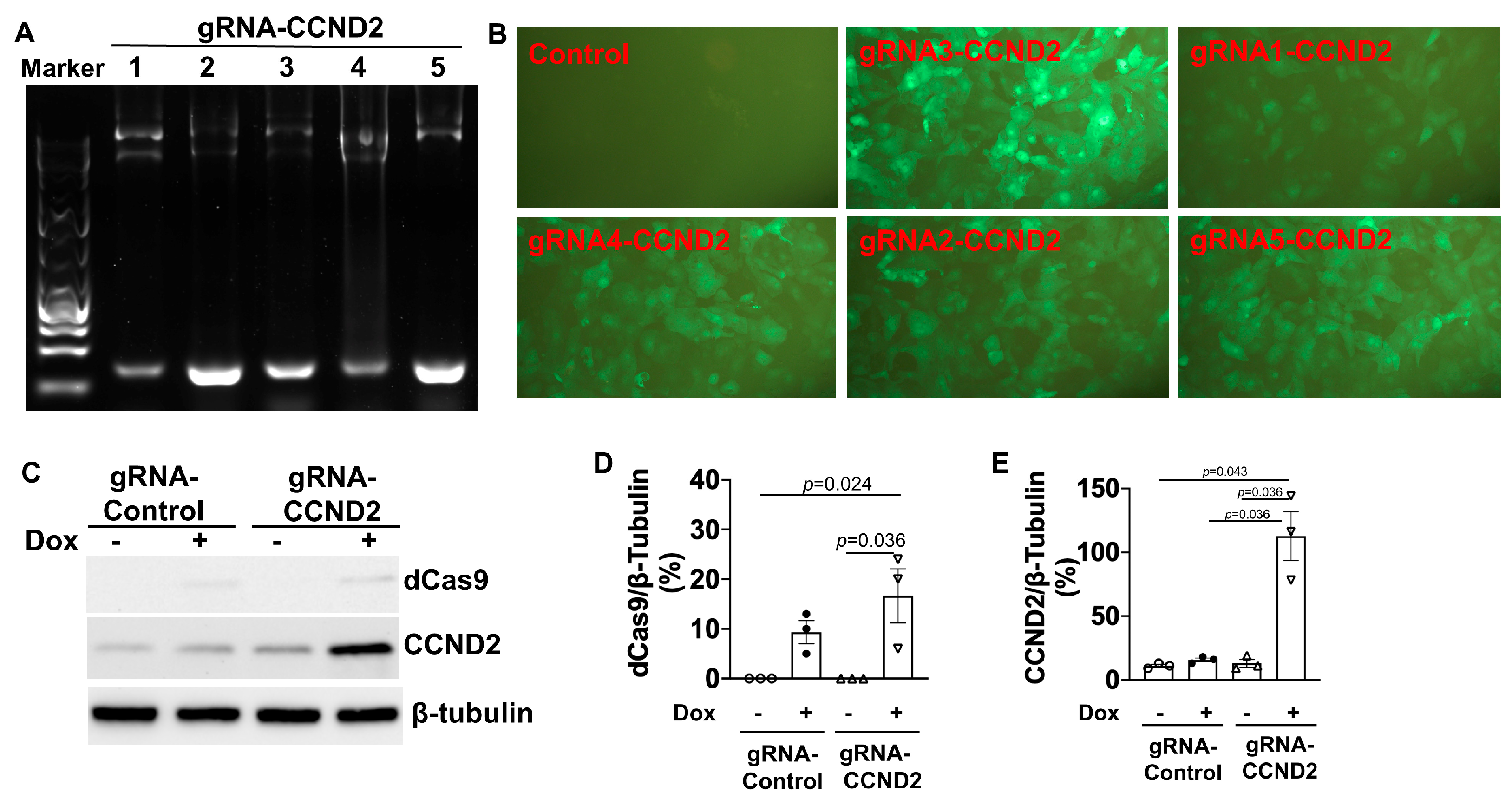 Ijms 25 08714 g003 Ijms 25 08714 g003
