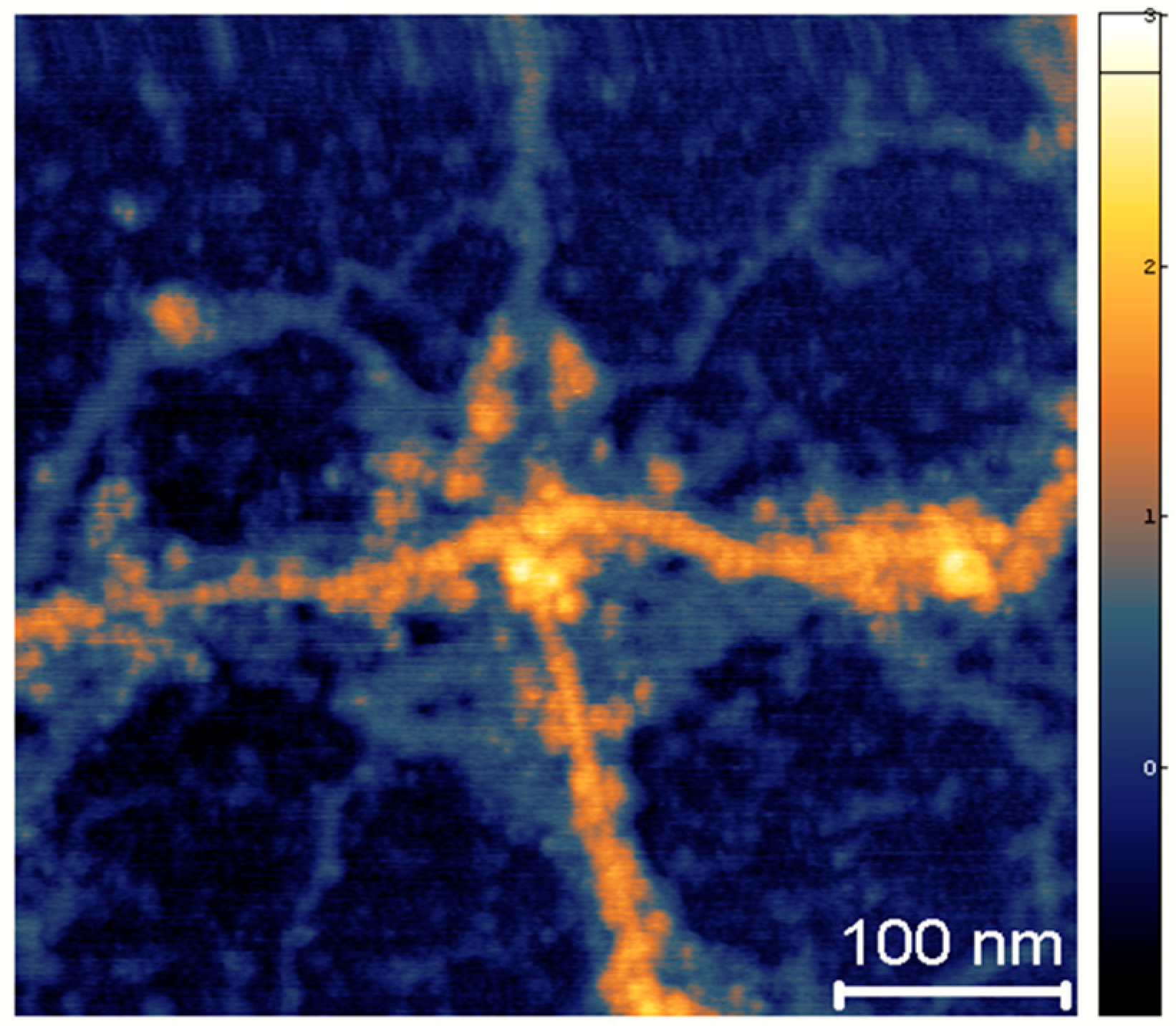 Ijms 25 08717 g0a1 Ijms 25 08717 g0a1