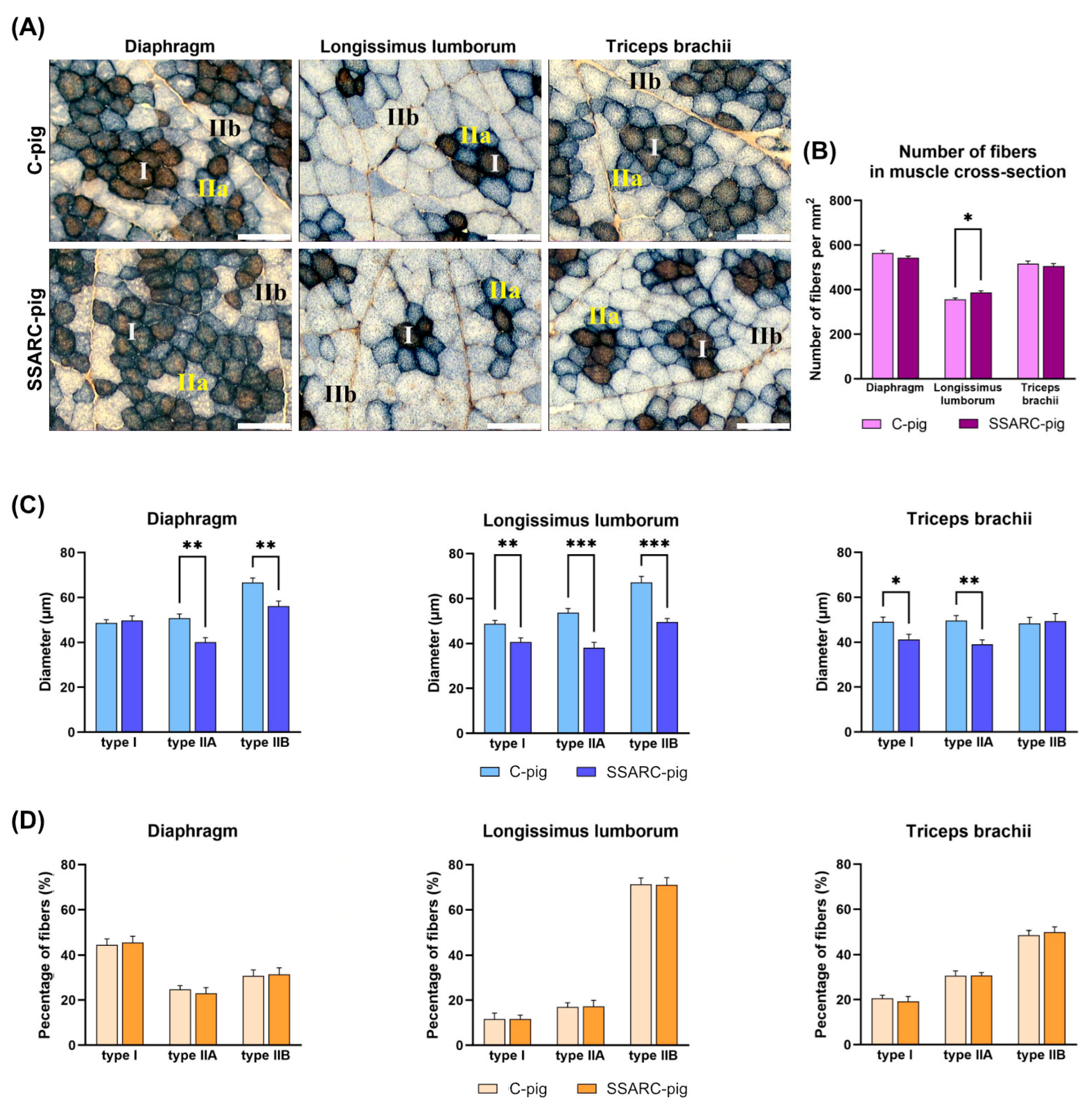 Ijms 25 08735 g001 Ijms 25 08735 g001