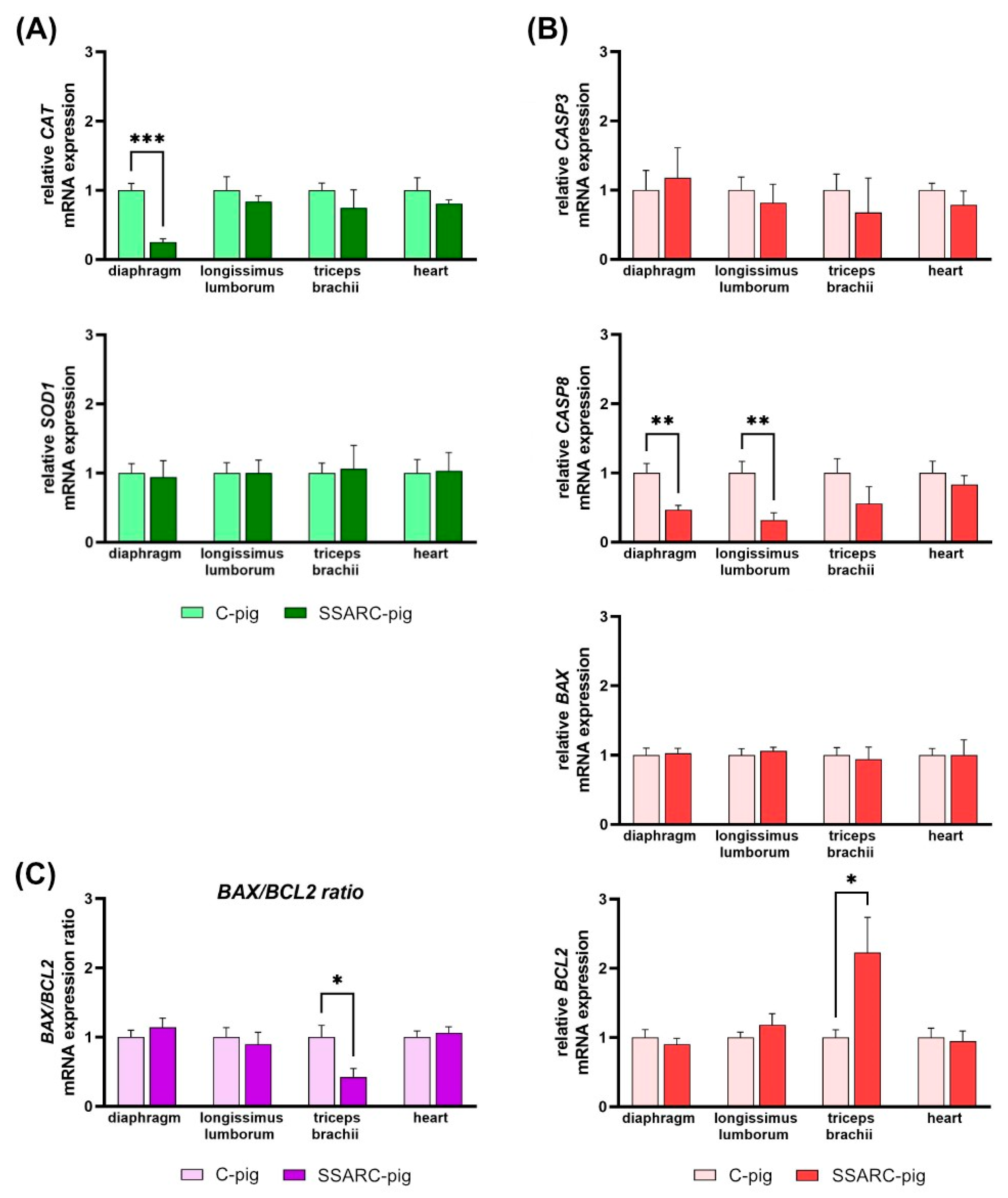 Ijms 25 08735 g003 Ijms 25 08735 g003