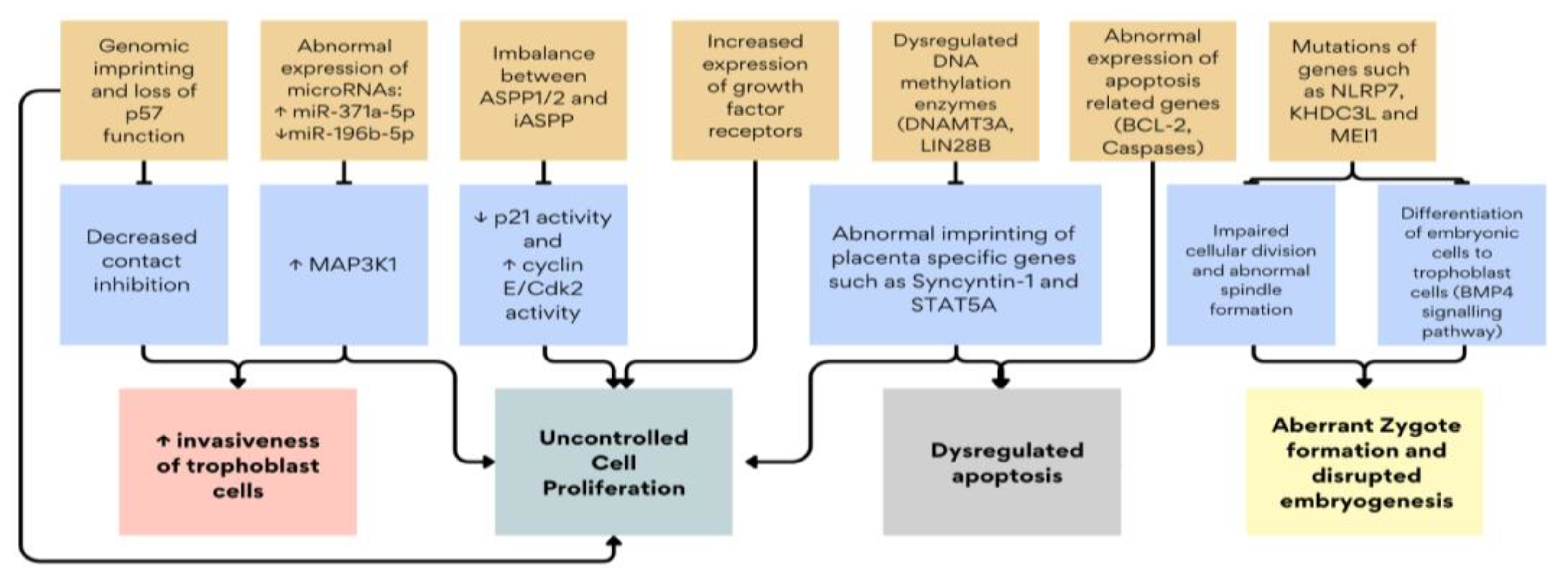 Ijms 25 08739 g002 Ijms 25 08739 g002