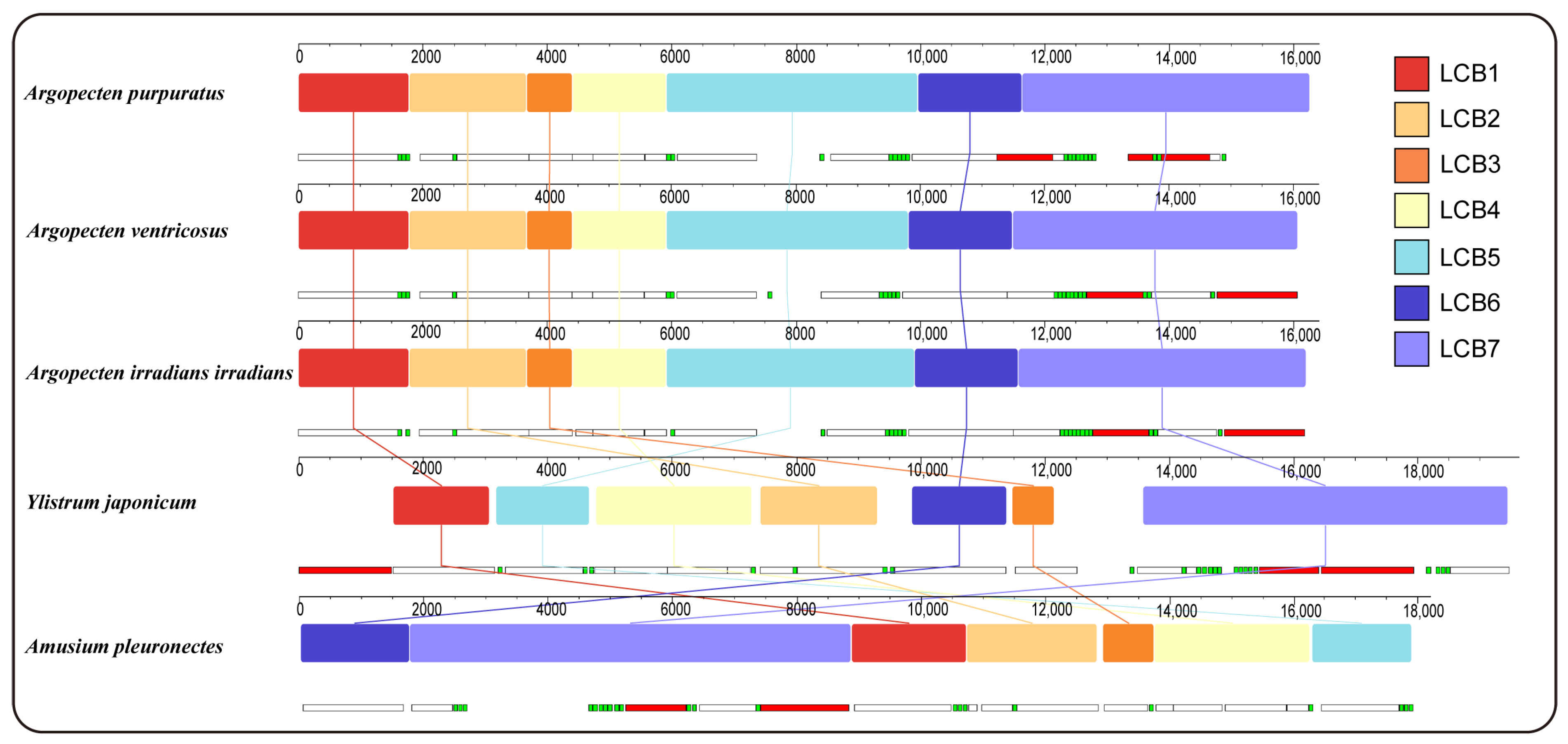 Ijms 25 08755 g003 Ijms 25 08755 g003