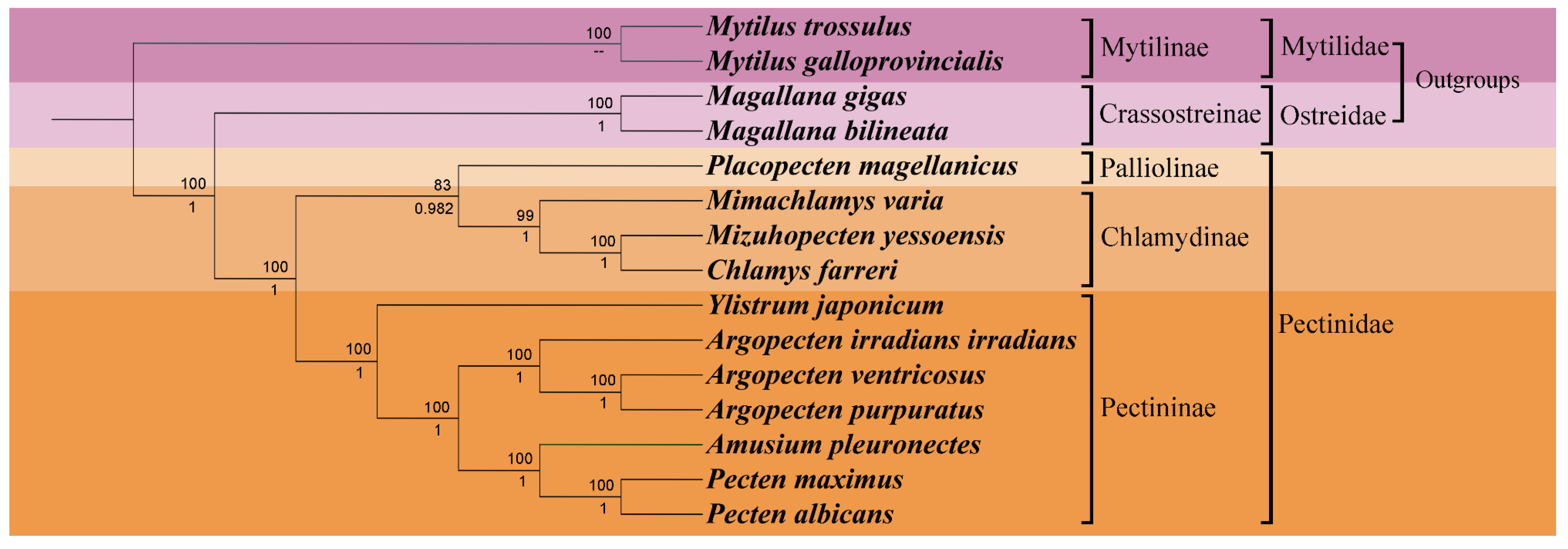 Ijms 25 08755 g004 Ijms 25 08755 g004