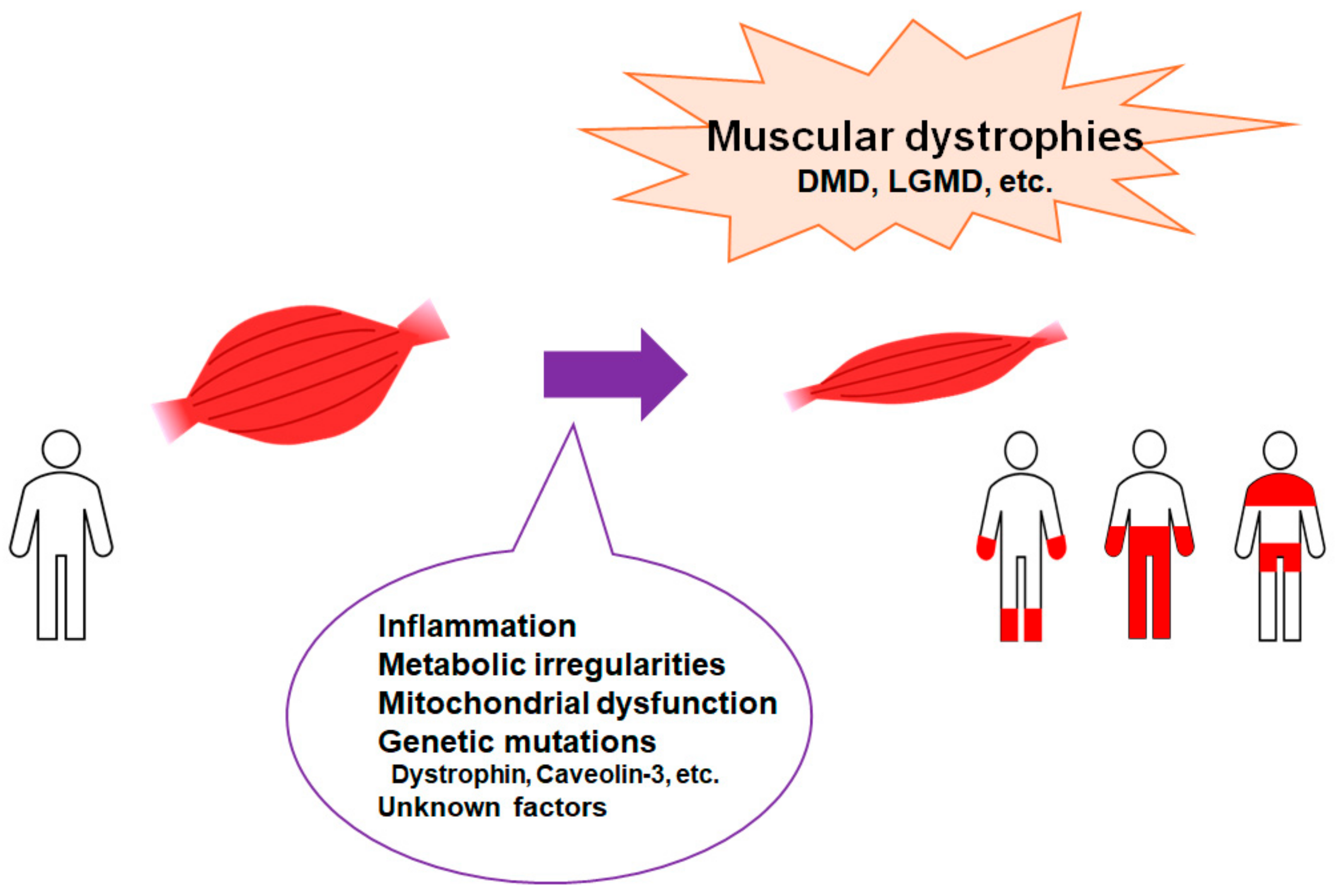 Ijms 25 08771 g001 Ijms 25 08771 g001