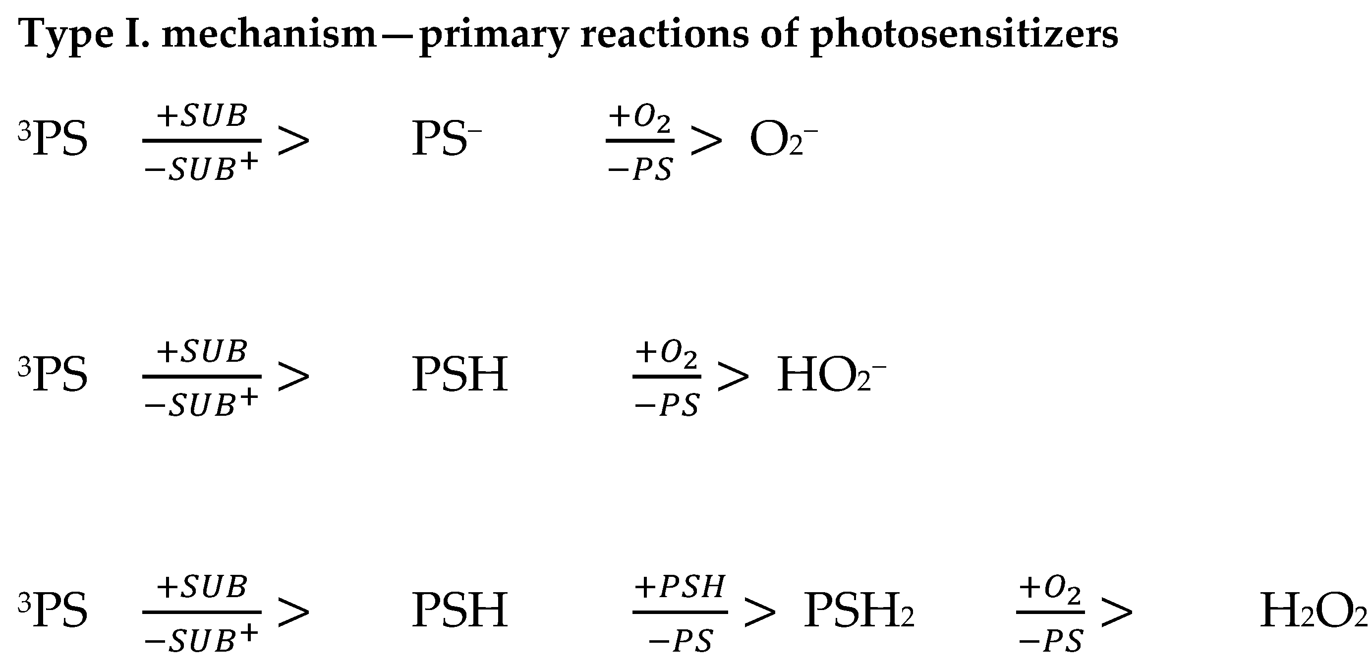 Ijms 25 08772 g001 Ijms 25 08772 g001
