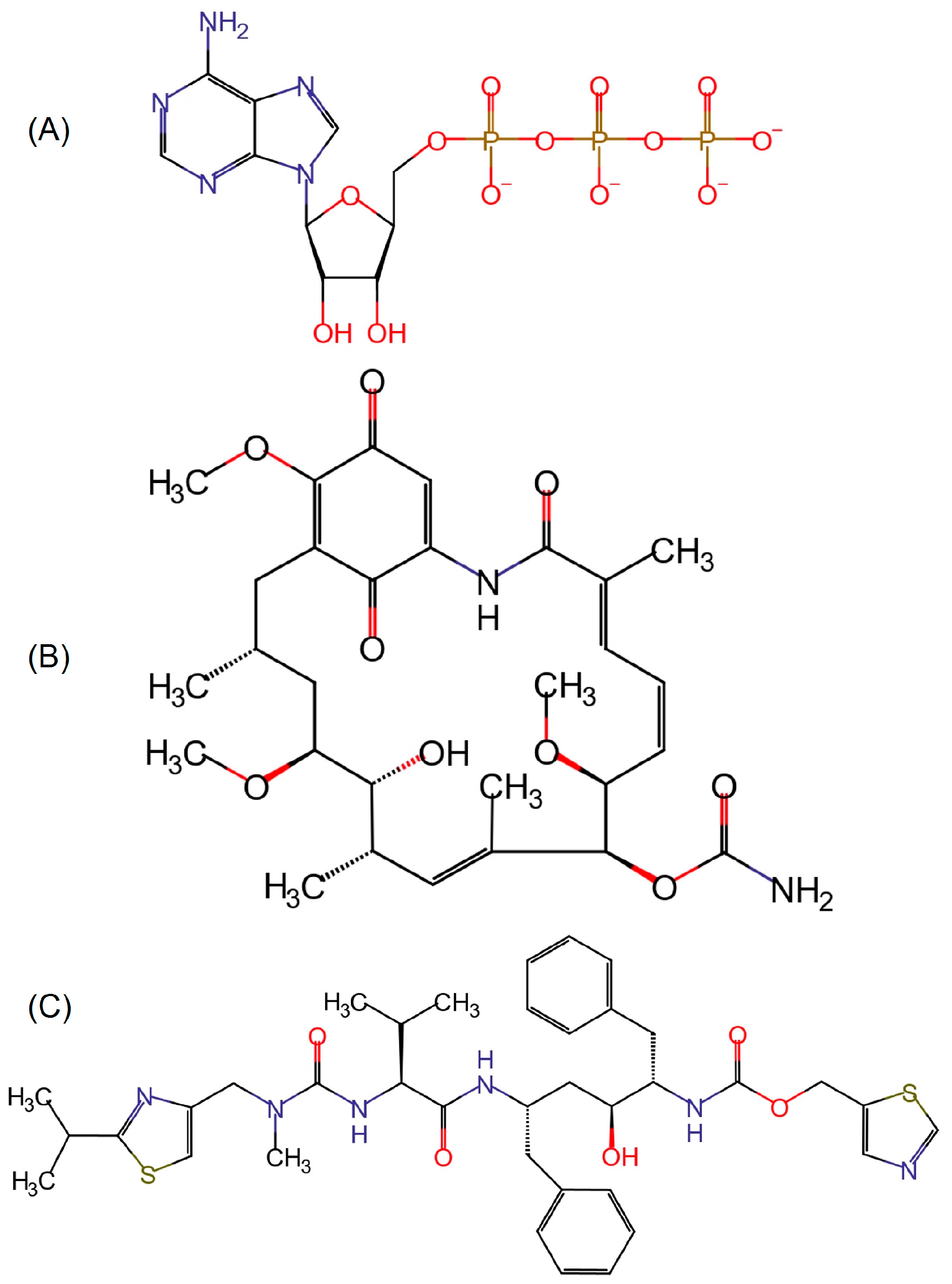 Ijms 25 08782 g007 Ijms 25 08782 g007