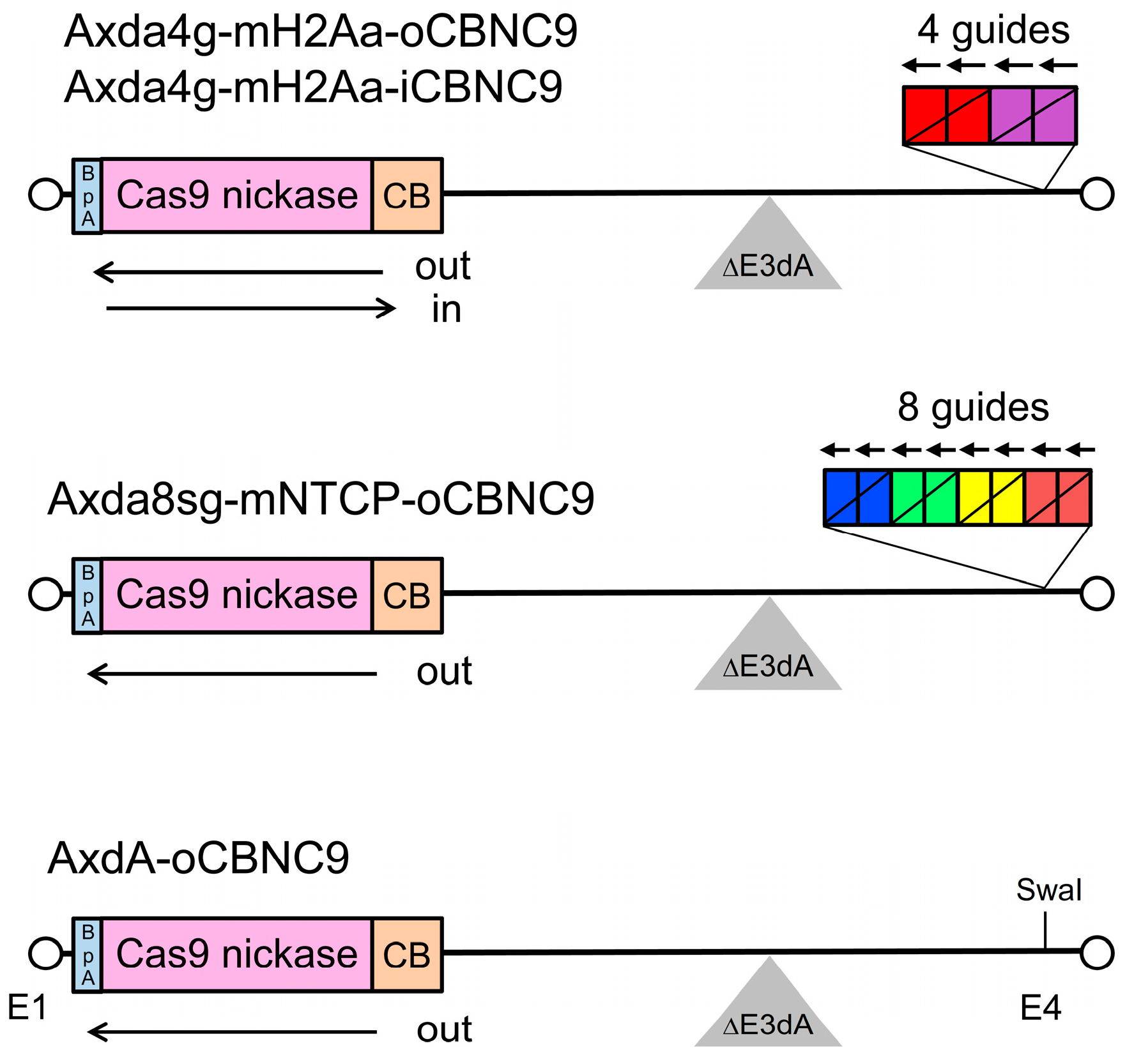 Ijms 25 08783 g001 Ijms 25 08783 g001