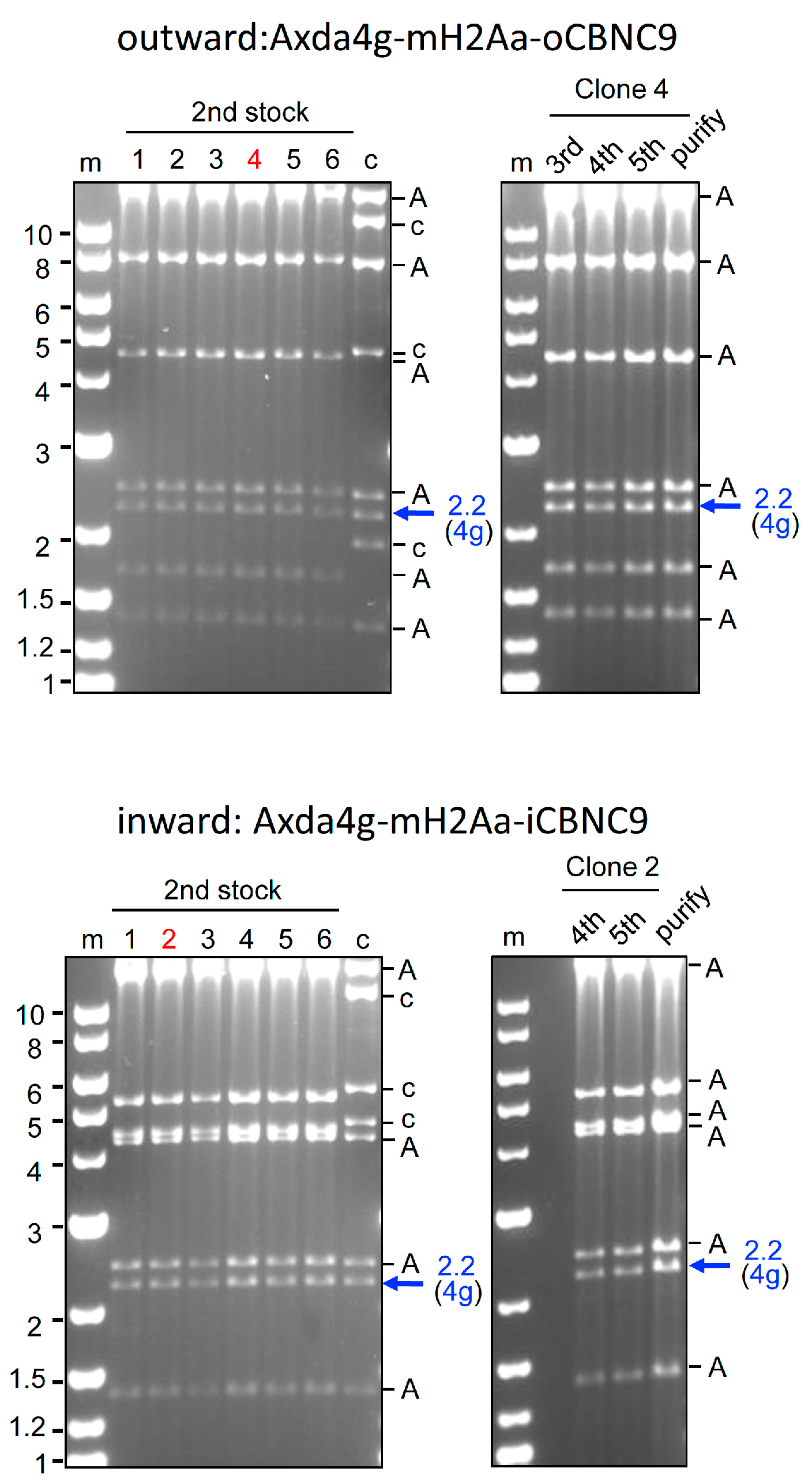 Ijms 25 08783 g003 Ijms 25 08783 g003