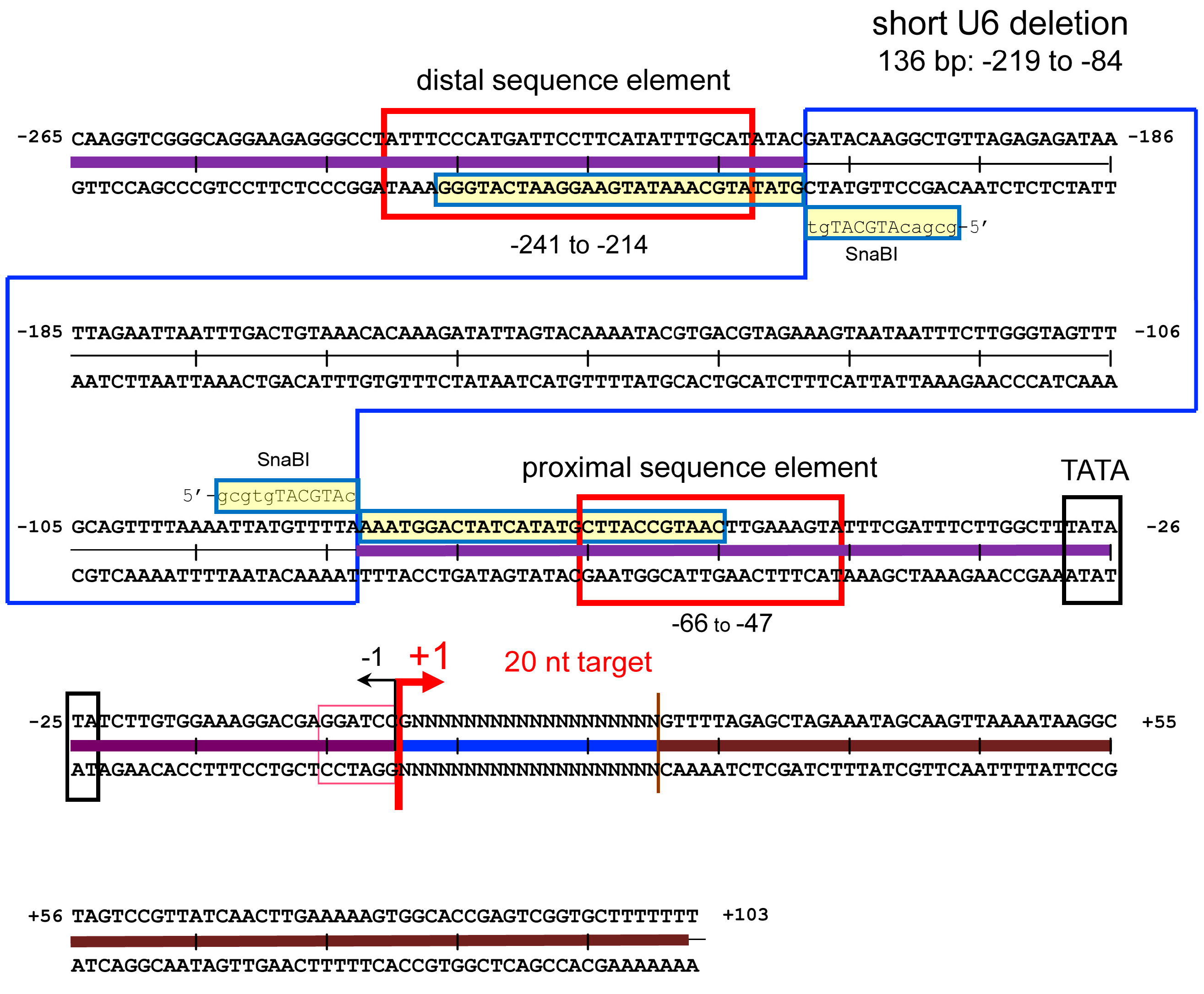 Ijms 25 08783 g004 Ijms 25 08783 g004