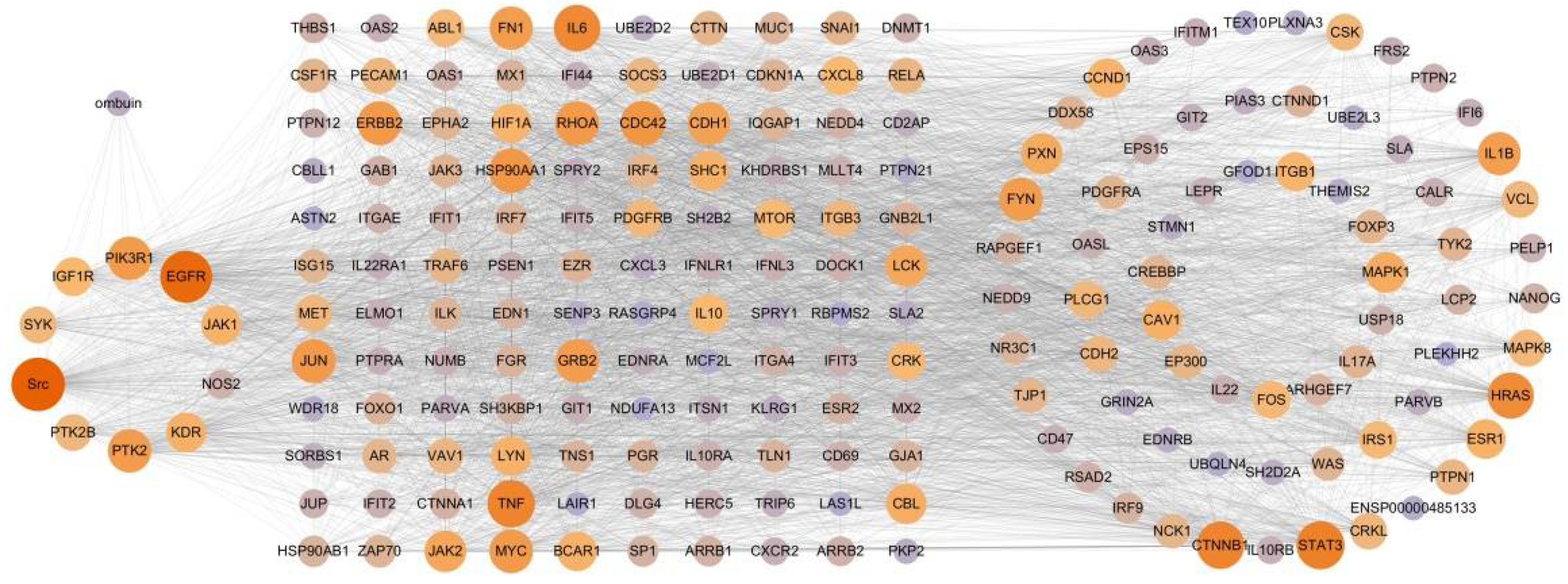 Ijms 25 08789 g004 Ijms 25 08789 g004