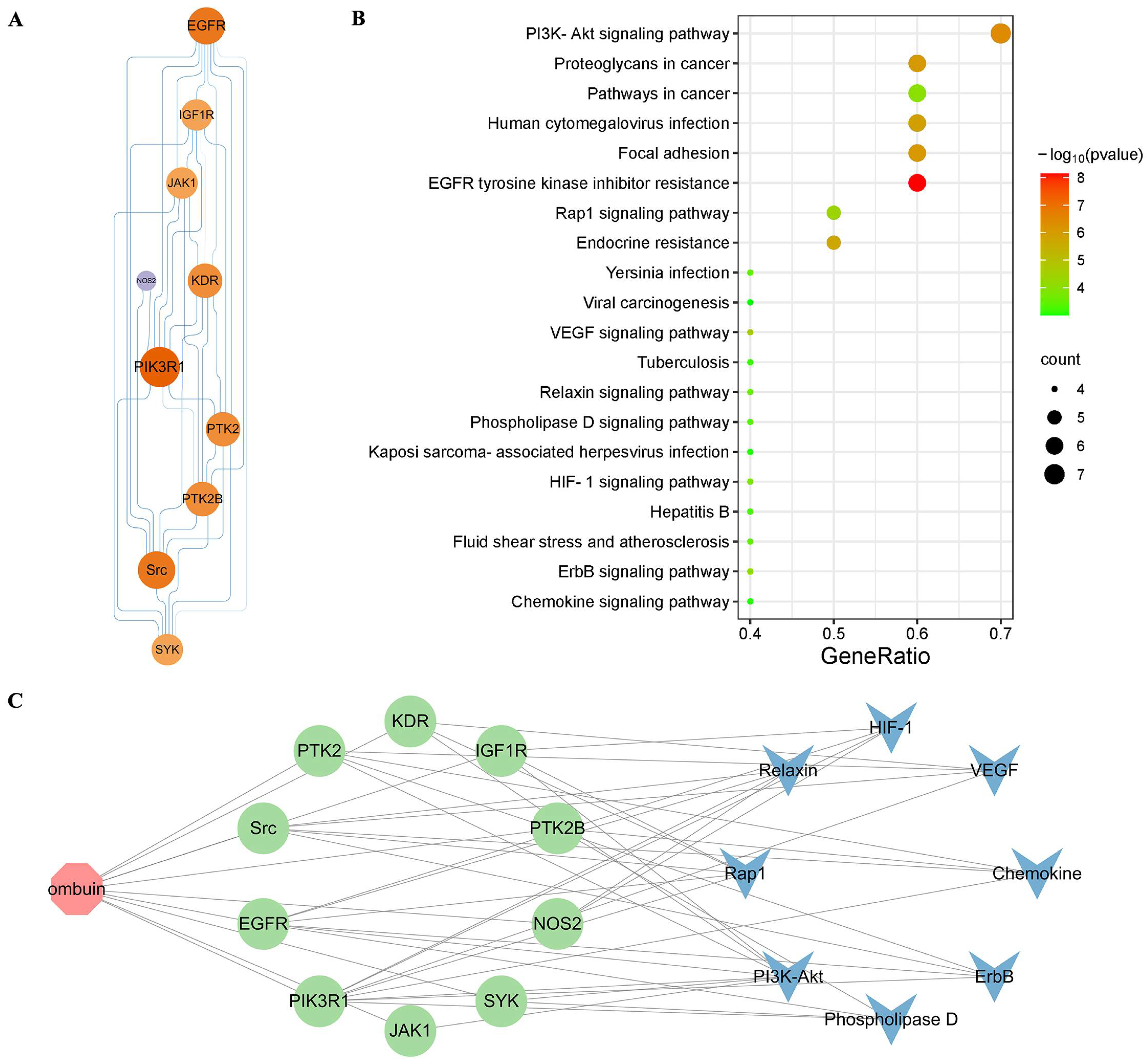 Ijms 25 08789 g005 Ijms 25 08789 g005