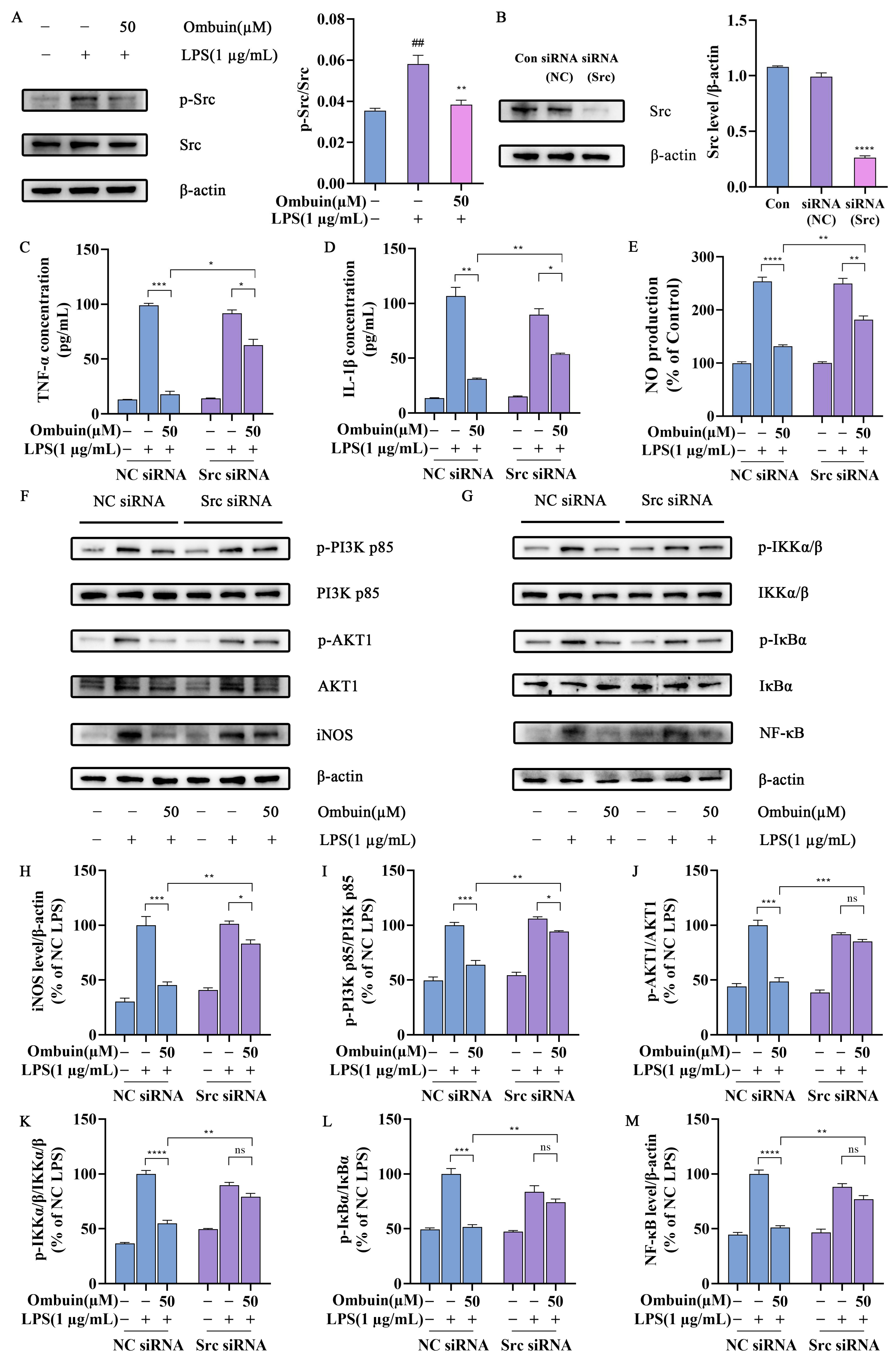 Ijms 25 08789 g007 Ijms 25 08789 g007