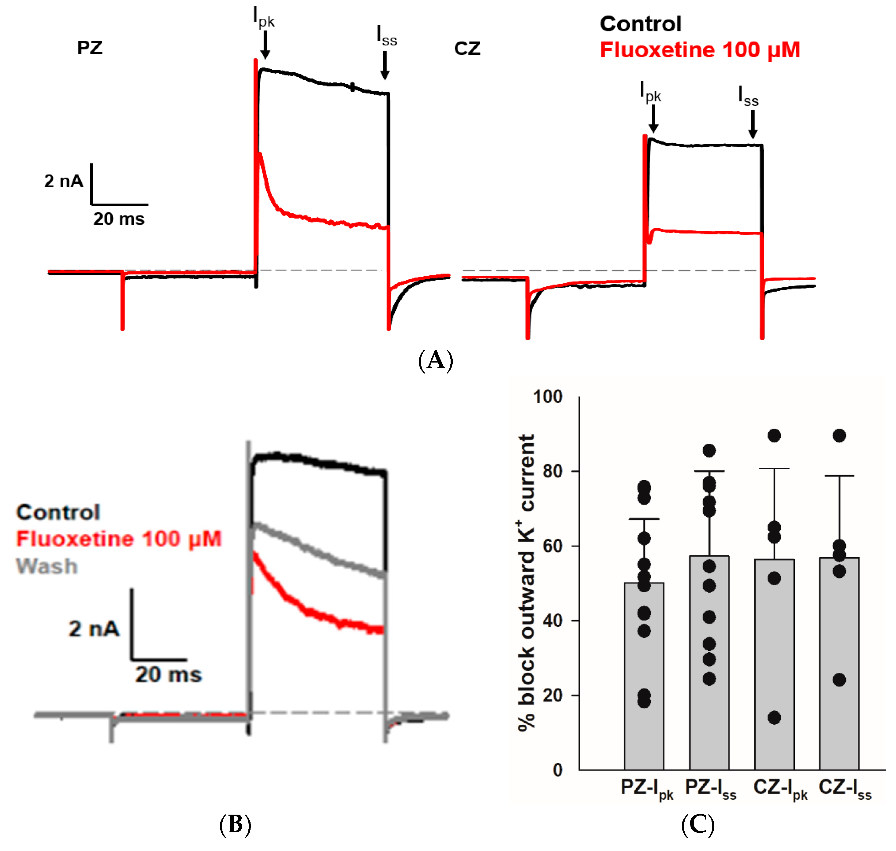 Ijms 25 08801 g002 Ijms 25 08801 g002