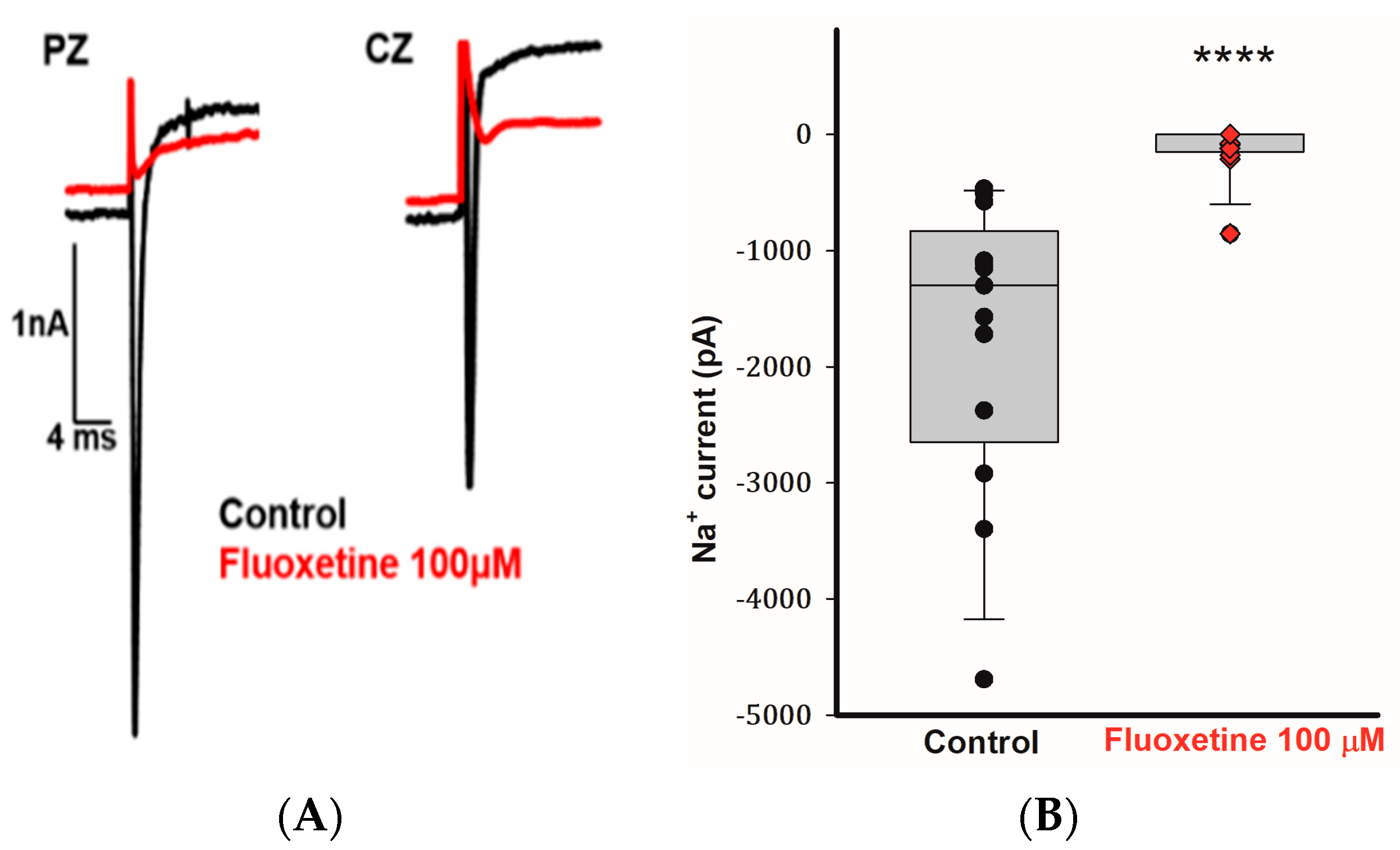 Ijms 25 08801 g004 Ijms 25 08801 g004