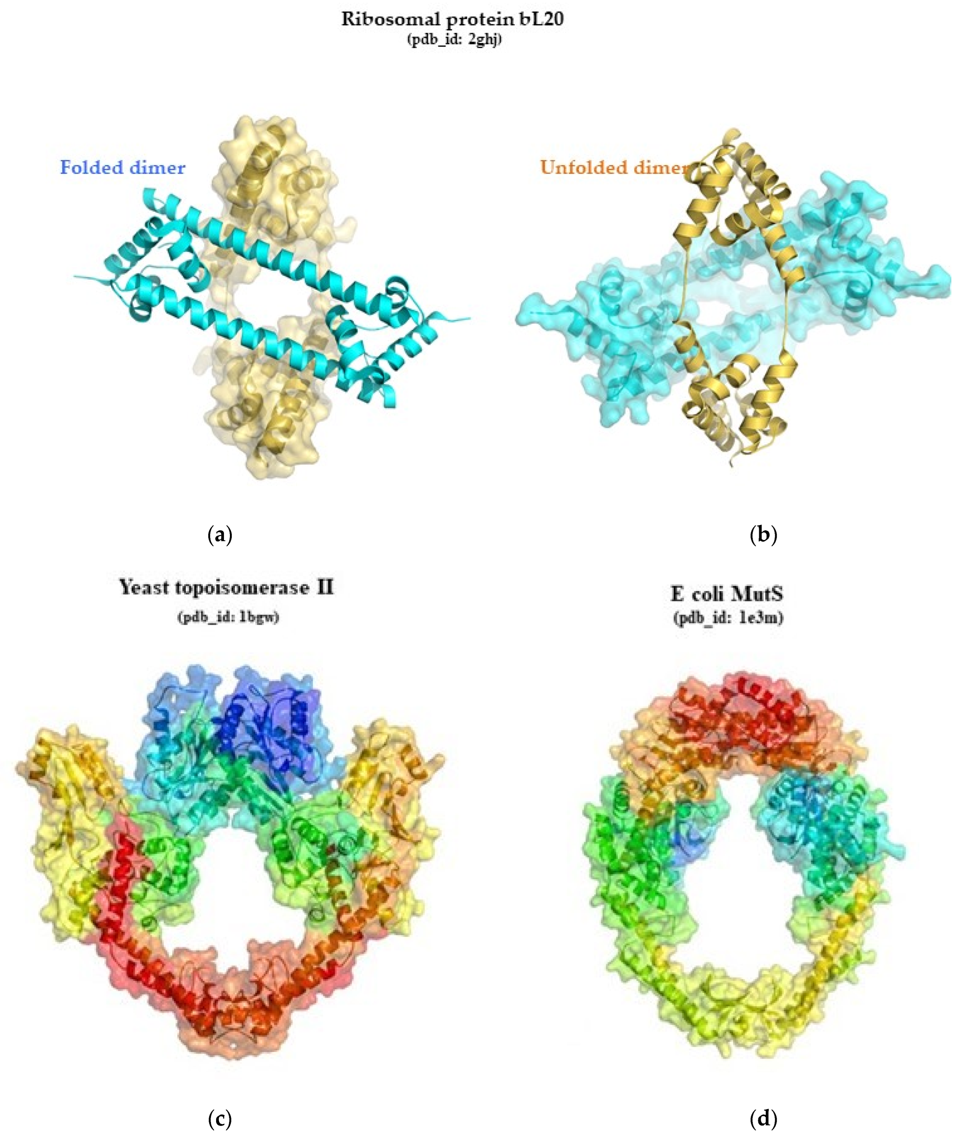 Ijms 25 08806 g001 Ijms 25 08806 g001