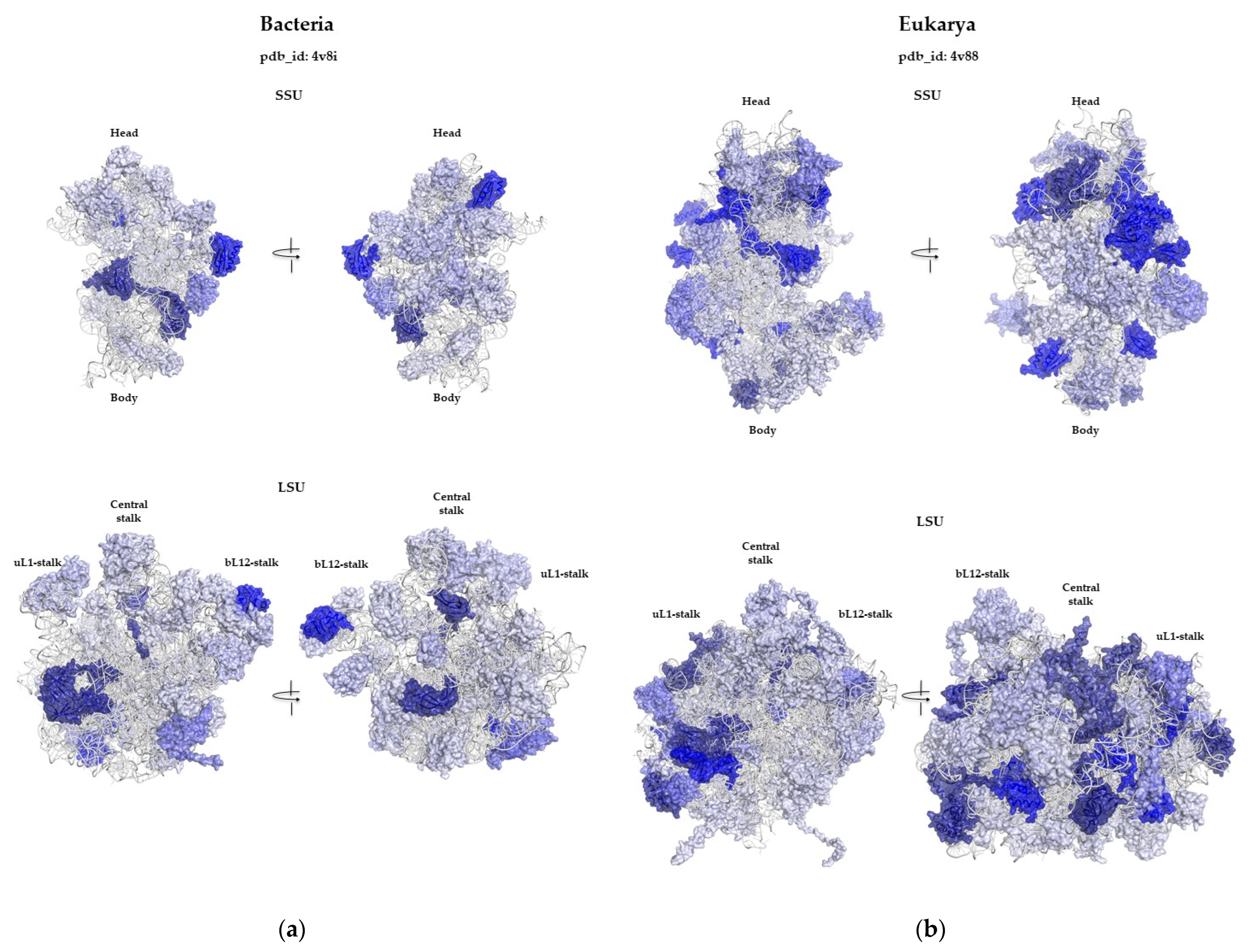Ijms 25 08806 g004 Ijms 25 08806 g004