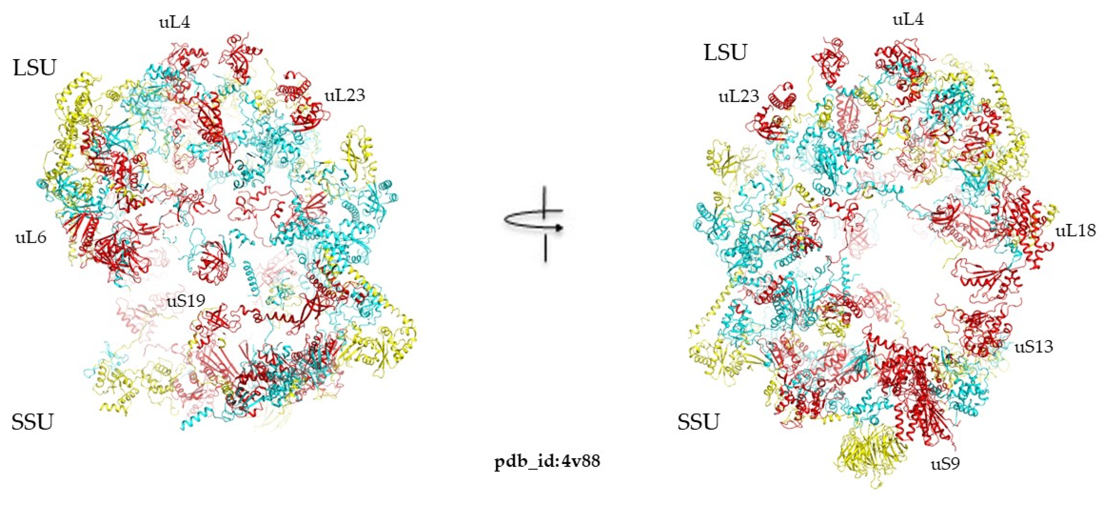 Ijms 25 08806 g008 Ijms 25 08806 g008
