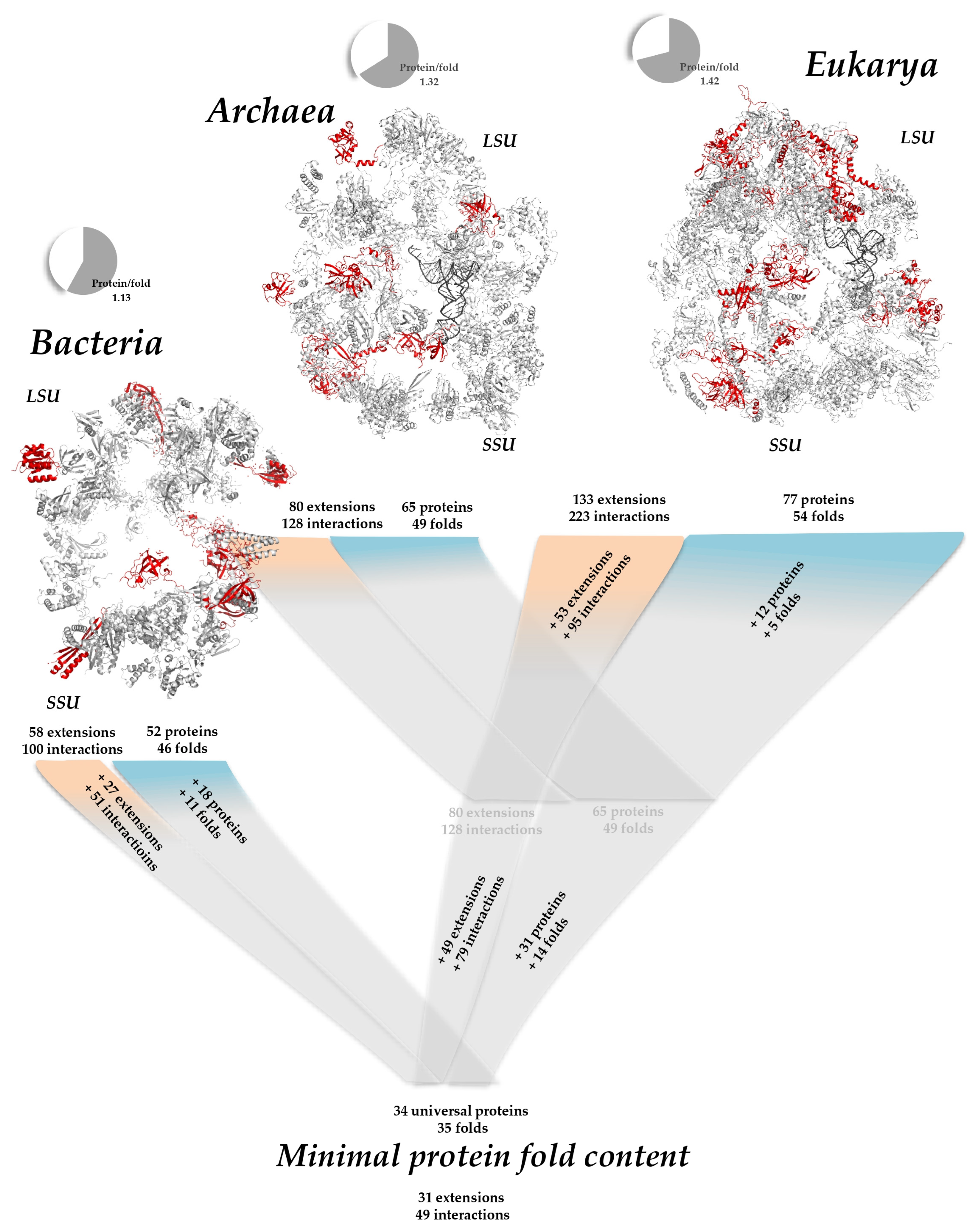 Ijms 25 08806 g010 Ijms 25 08806 g010