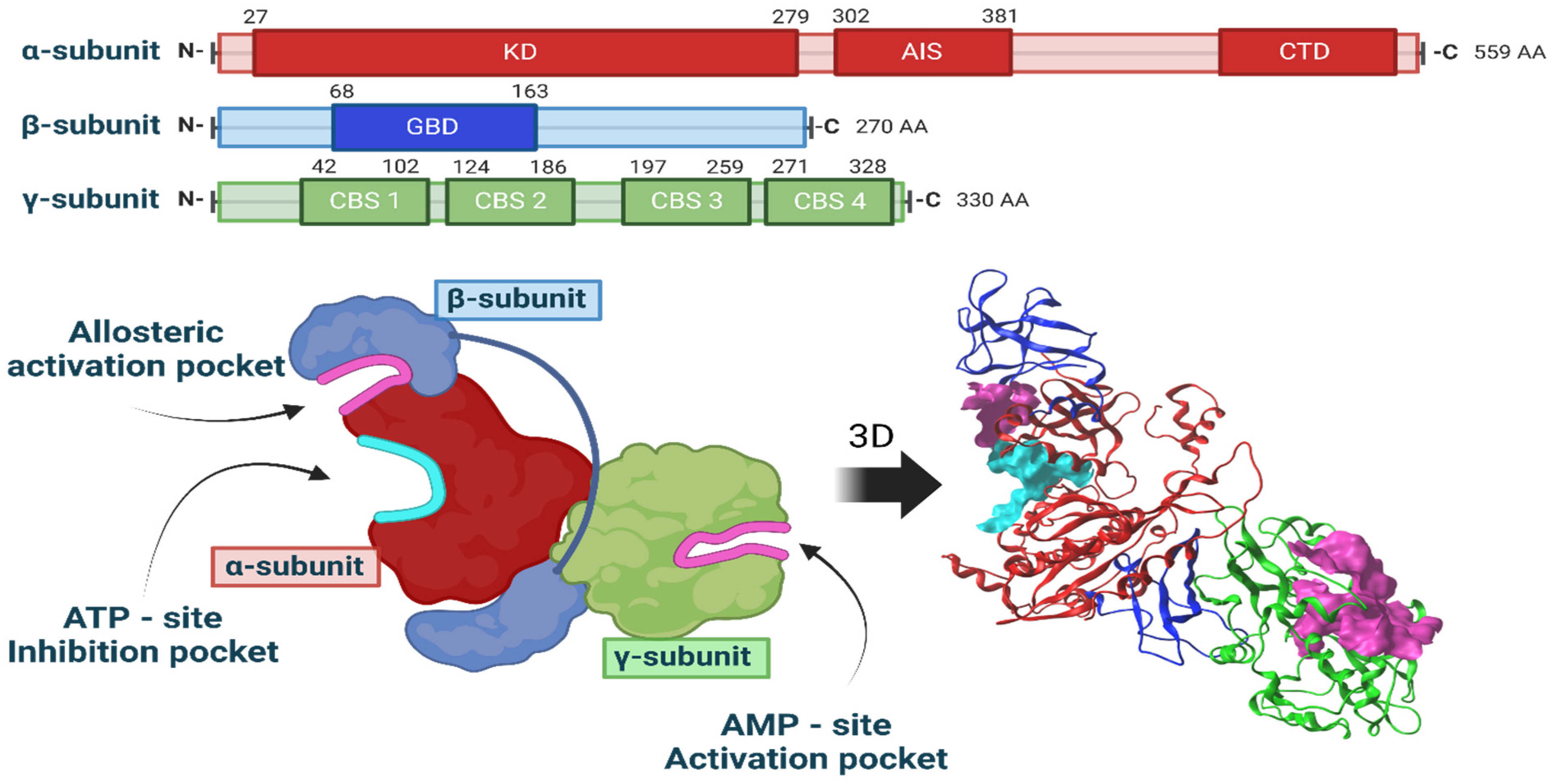 Ijms 25 08812 g004 Ijms 25 08812 g004