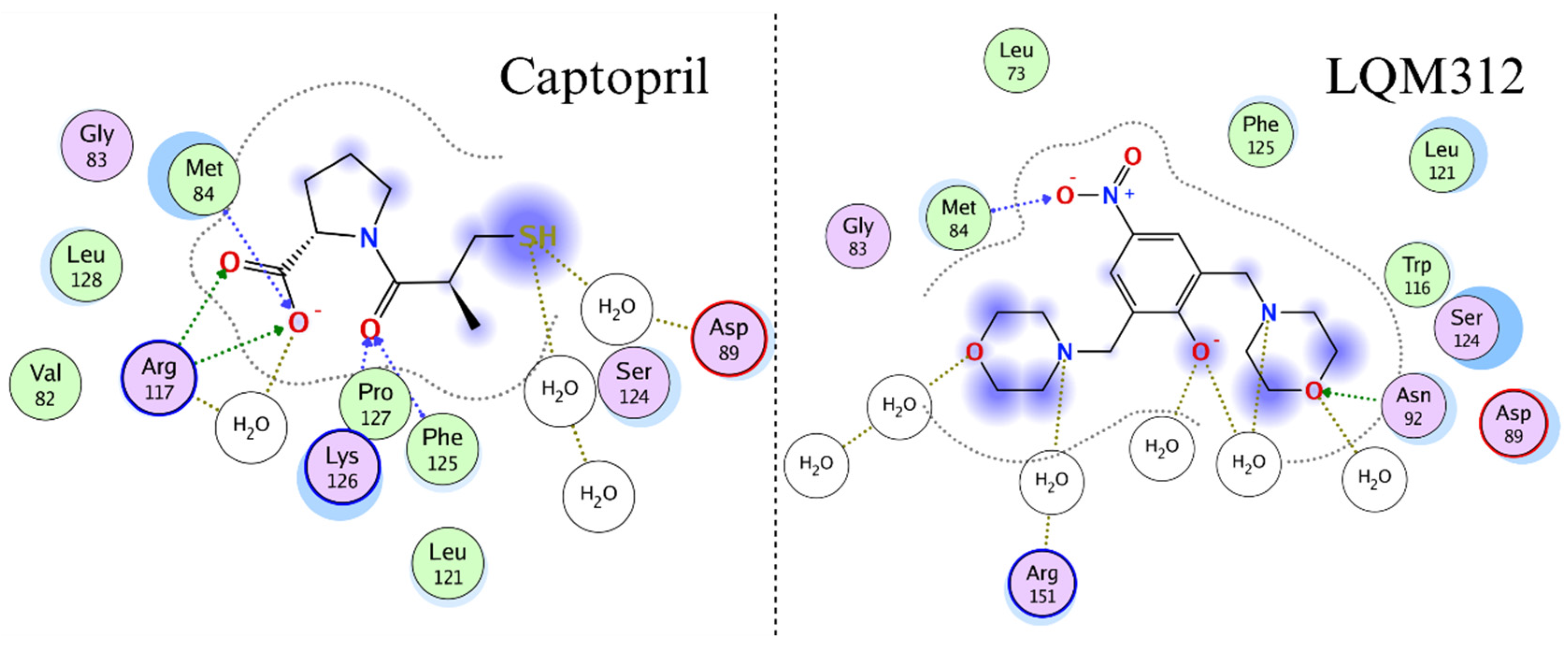 Ijms 25 08812 g006 Ijms 25 08812 g006