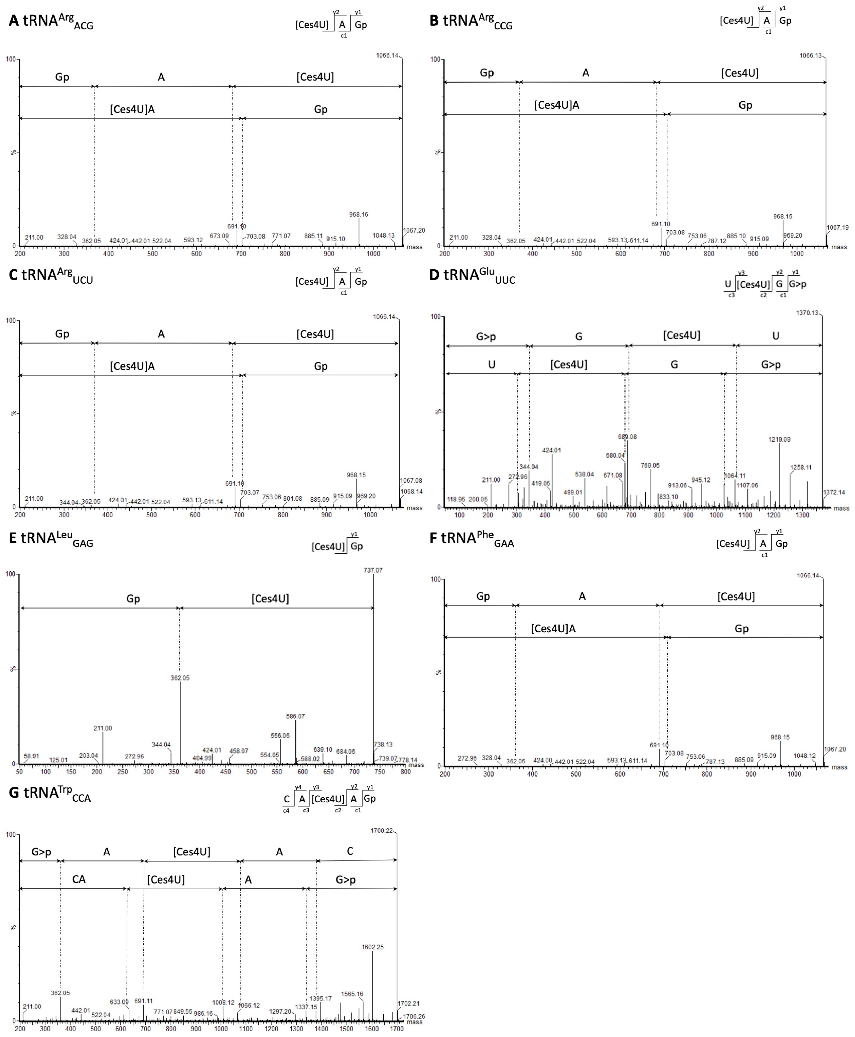 Ijms 25 08823 g004 Ijms 25 08823 g004