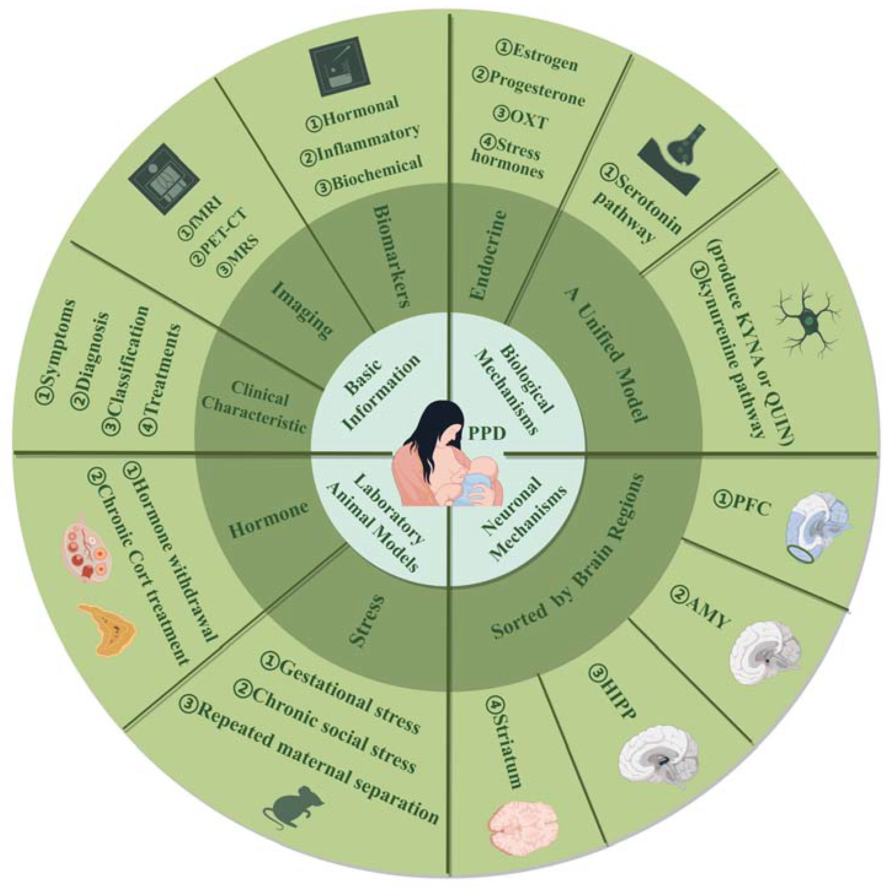 Ijms 25 08835 g003 Ijms 25 08835 g003