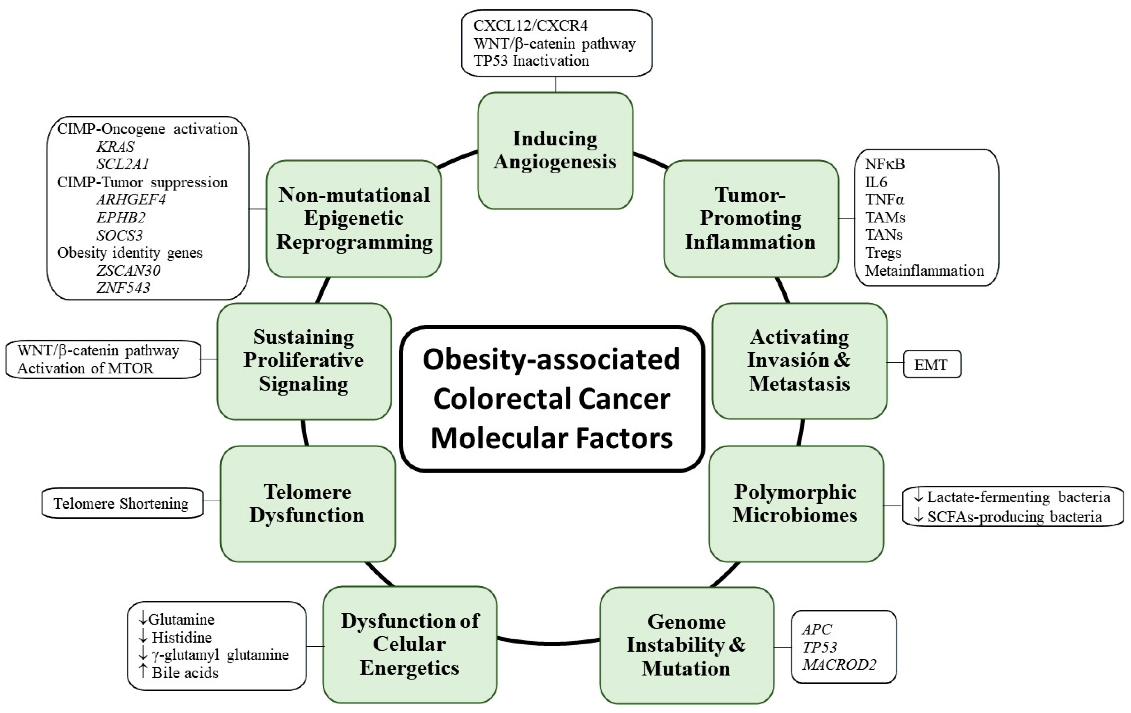 Ijms 25 08836 g004 Ijms 25 08836 g004