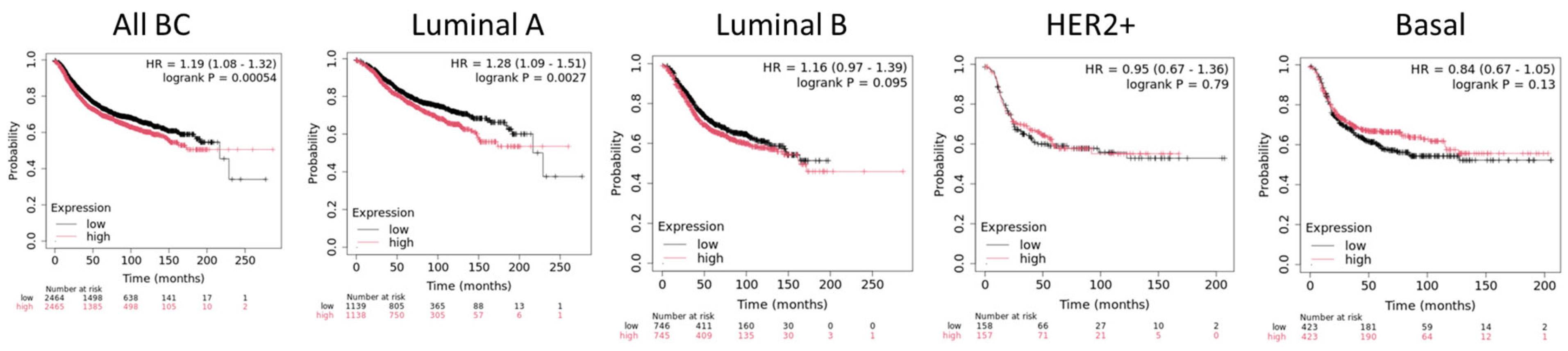 Ijms 25 08854 g001 Ijms 25 08854 g001