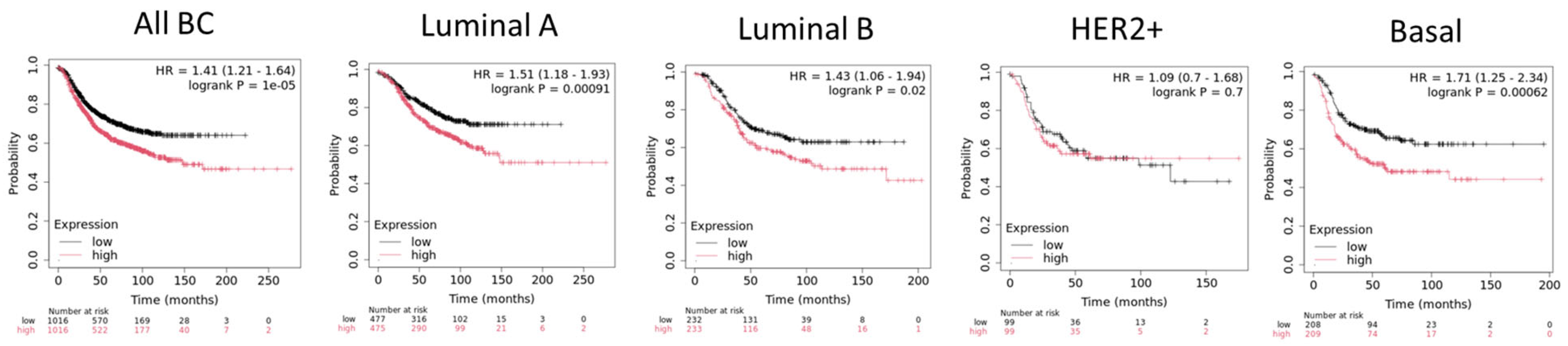 Ijms 25 08854 g003 Ijms 25 08854 g003