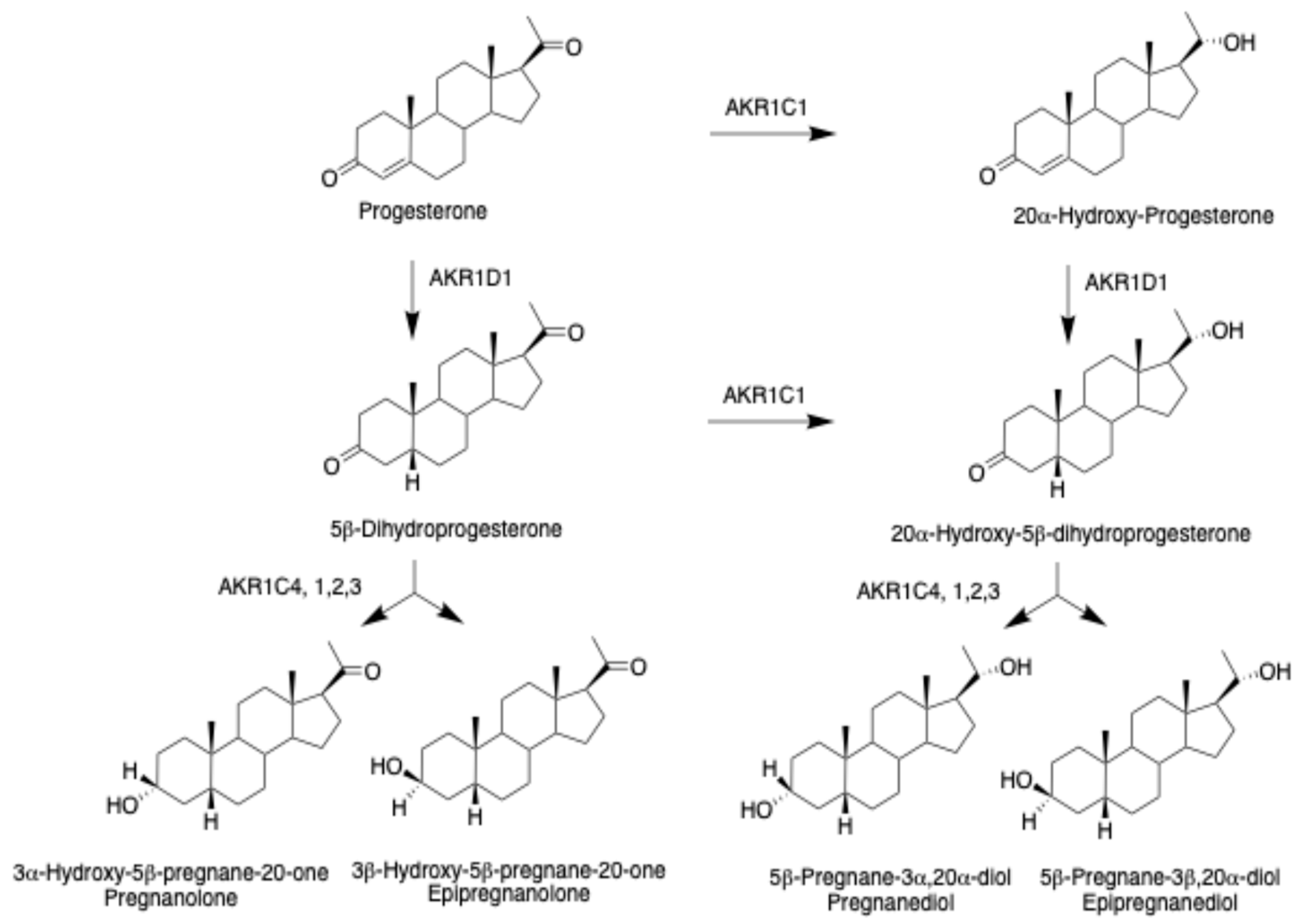 Ijms 25 08857 g005 Ijms 25 08857 g005