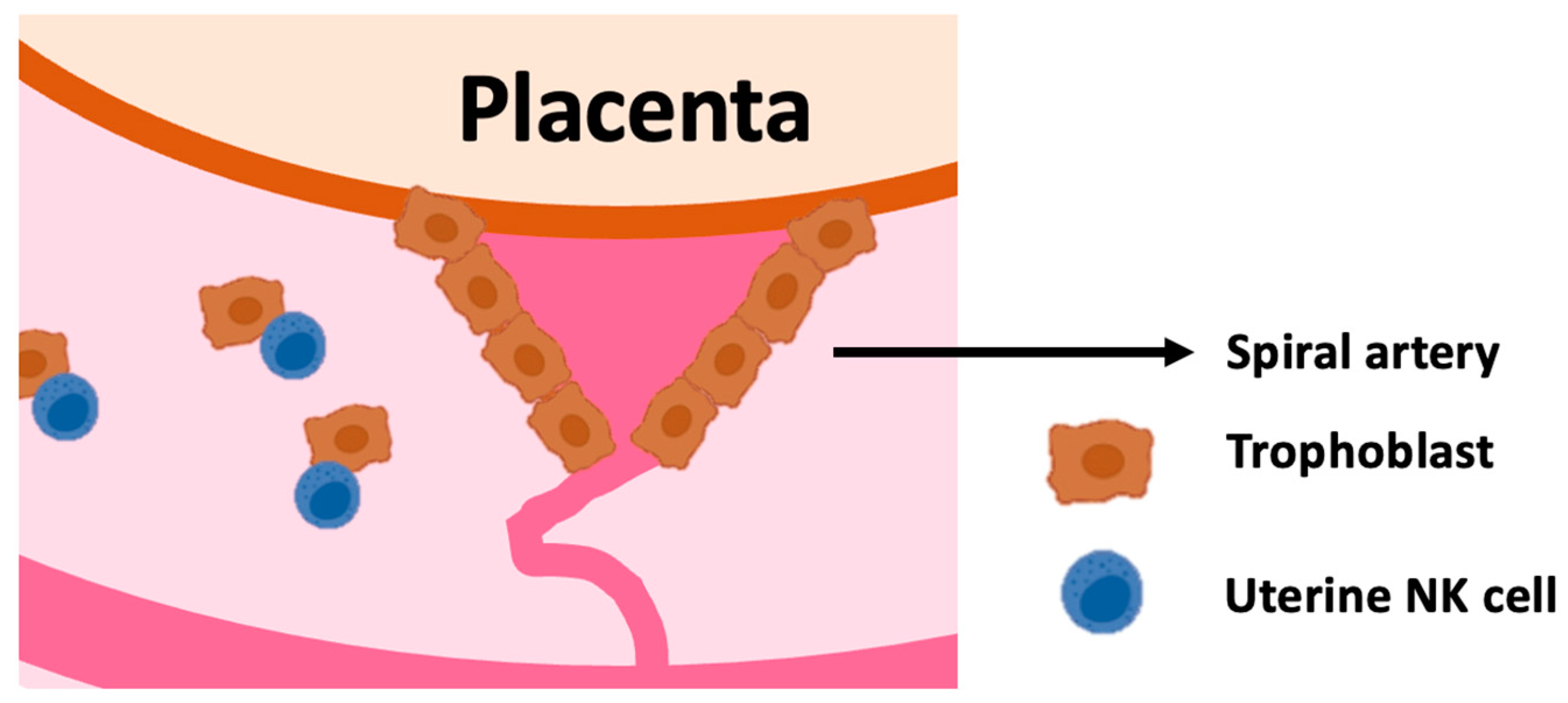 Ijms 25 08869 g001 Ijms 25 08869 g001