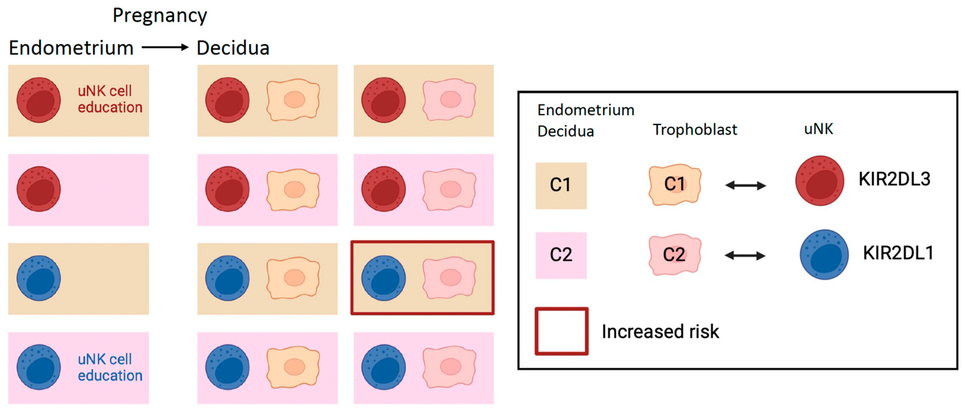 Ijms 25 08869 g002 Ijms 25 08869 g002