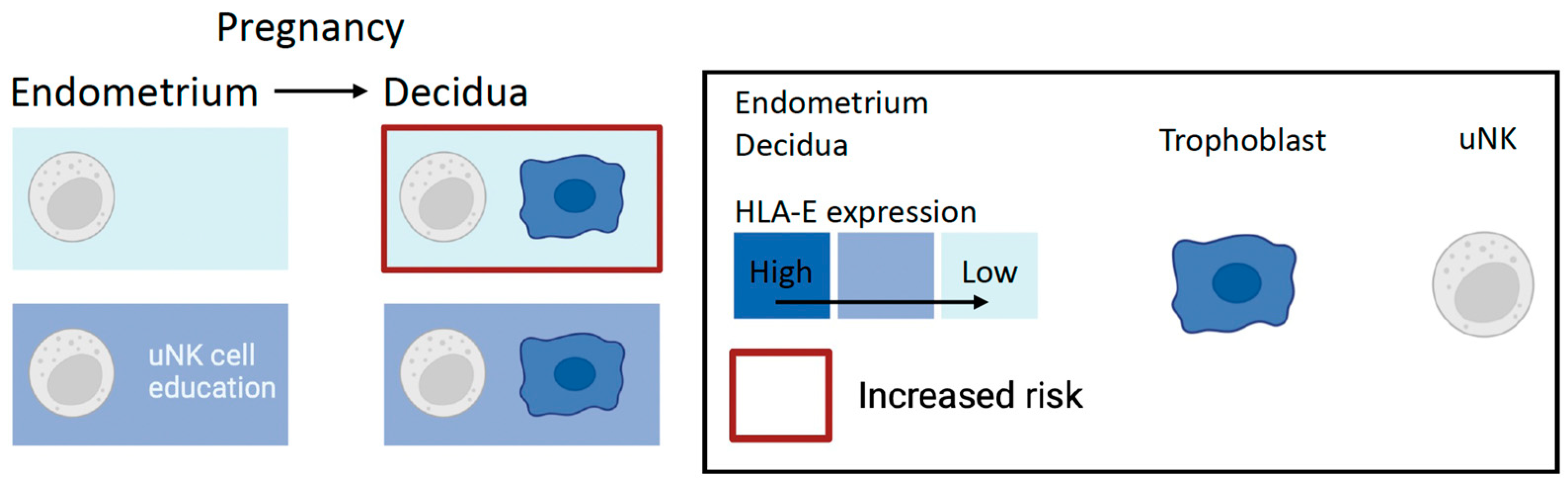 Ijms 25 08869 g003 Ijms 25 08869 g003