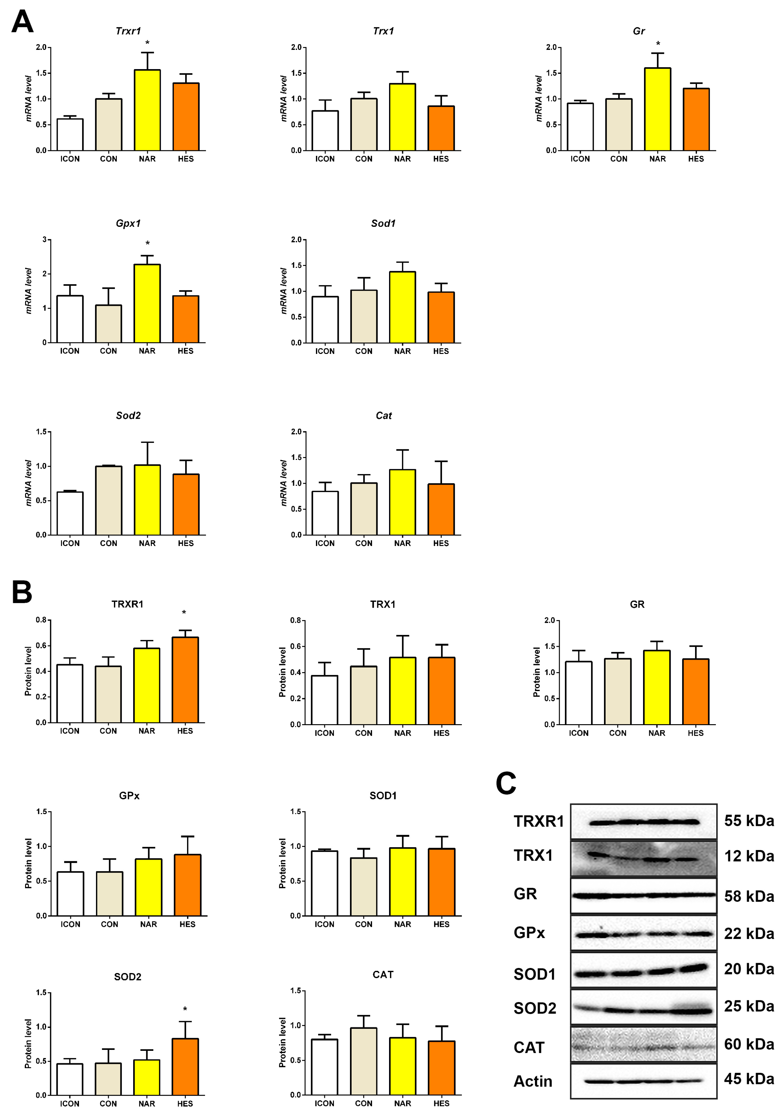 Ijms 25 08918 g003 Ijms 25 08918 g003