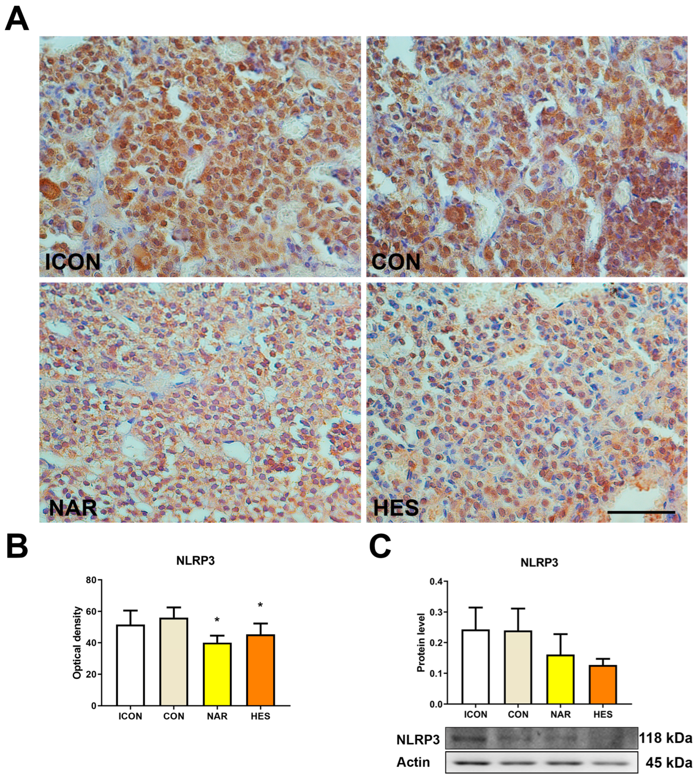 Ijms 25 08918 g005 Ijms 25 08918 g005