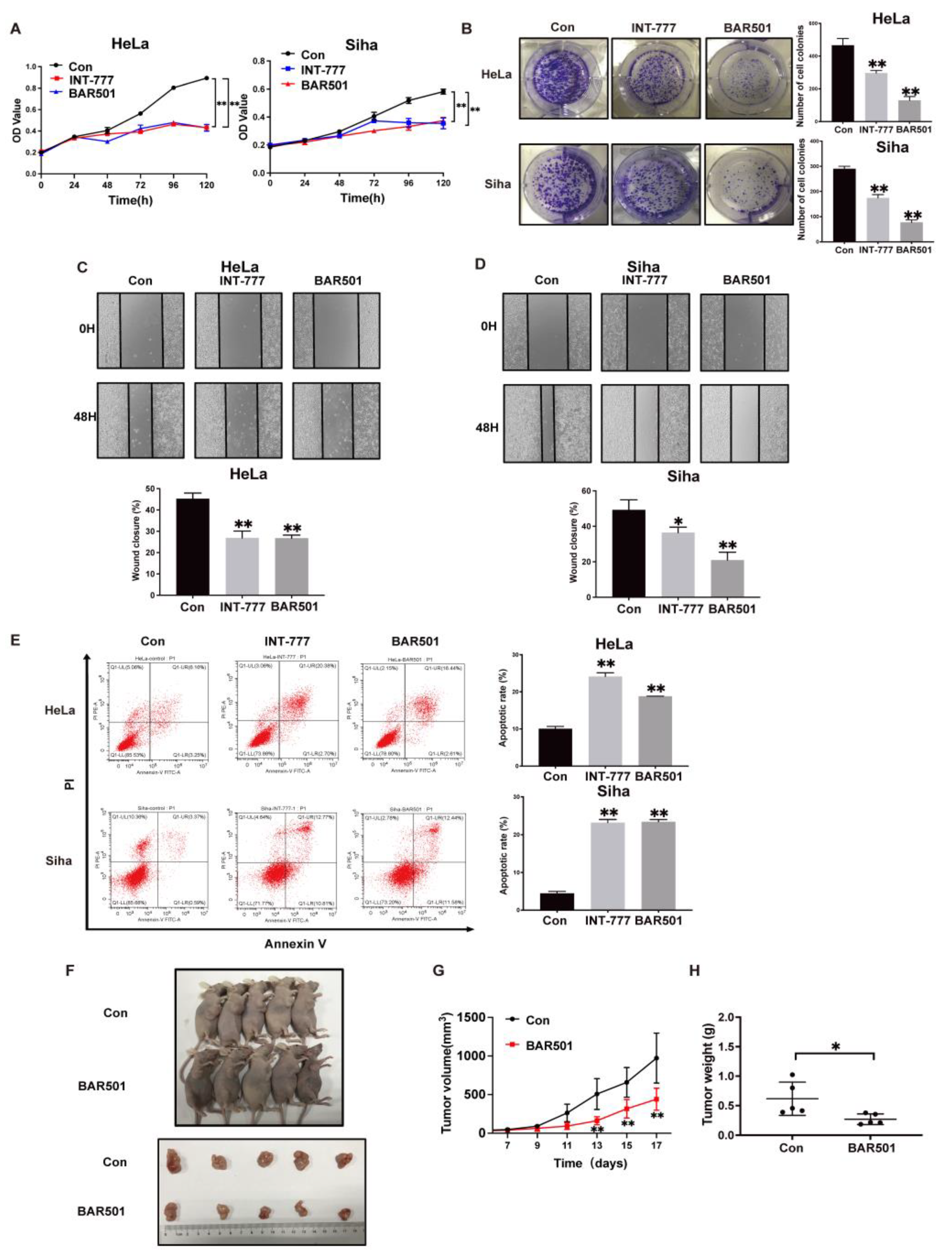 Ijms 25 08932 g002 Ijms 25 08932 g002