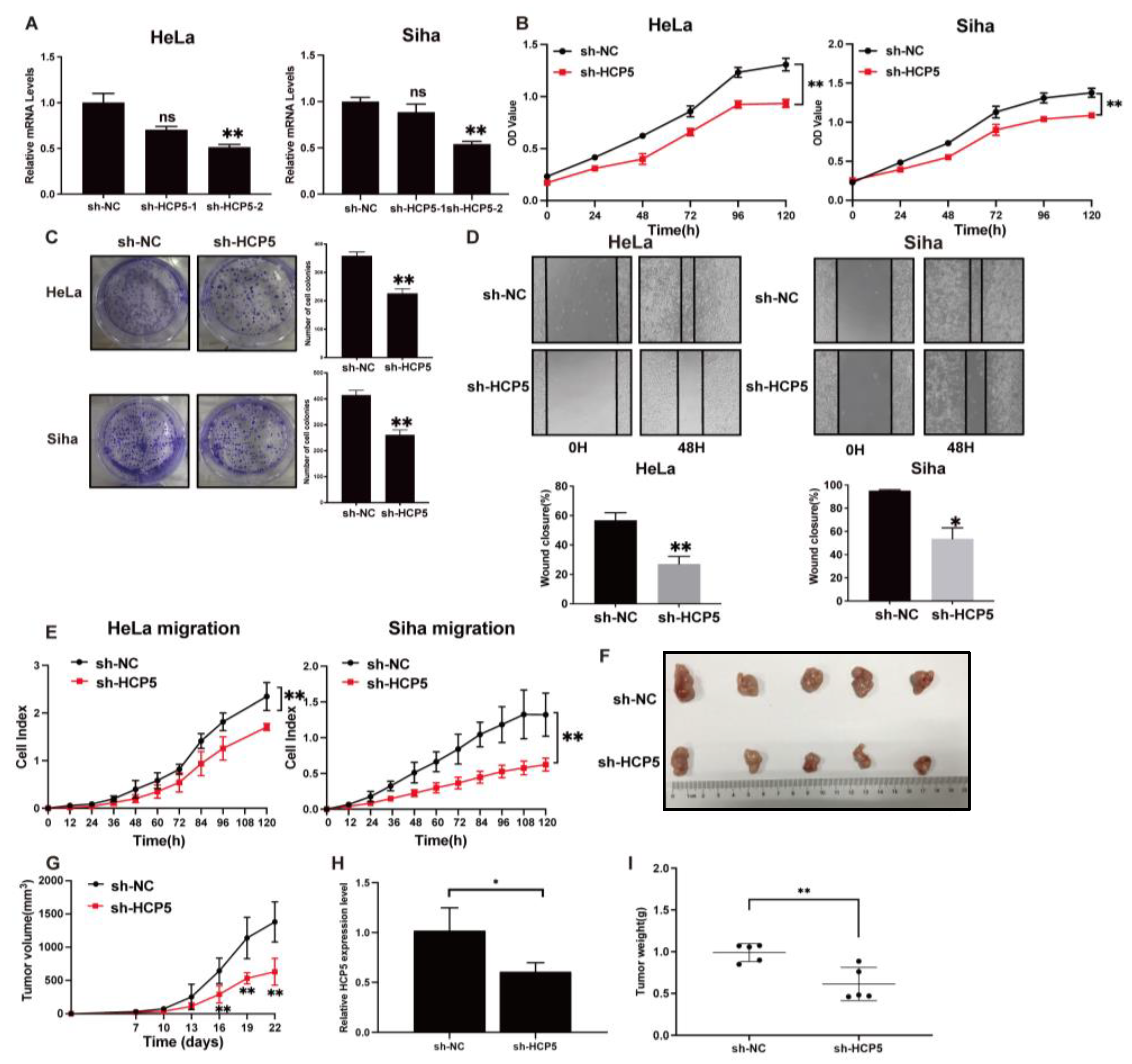 Ijms 25 08932 g004 Ijms 25 08932 g004