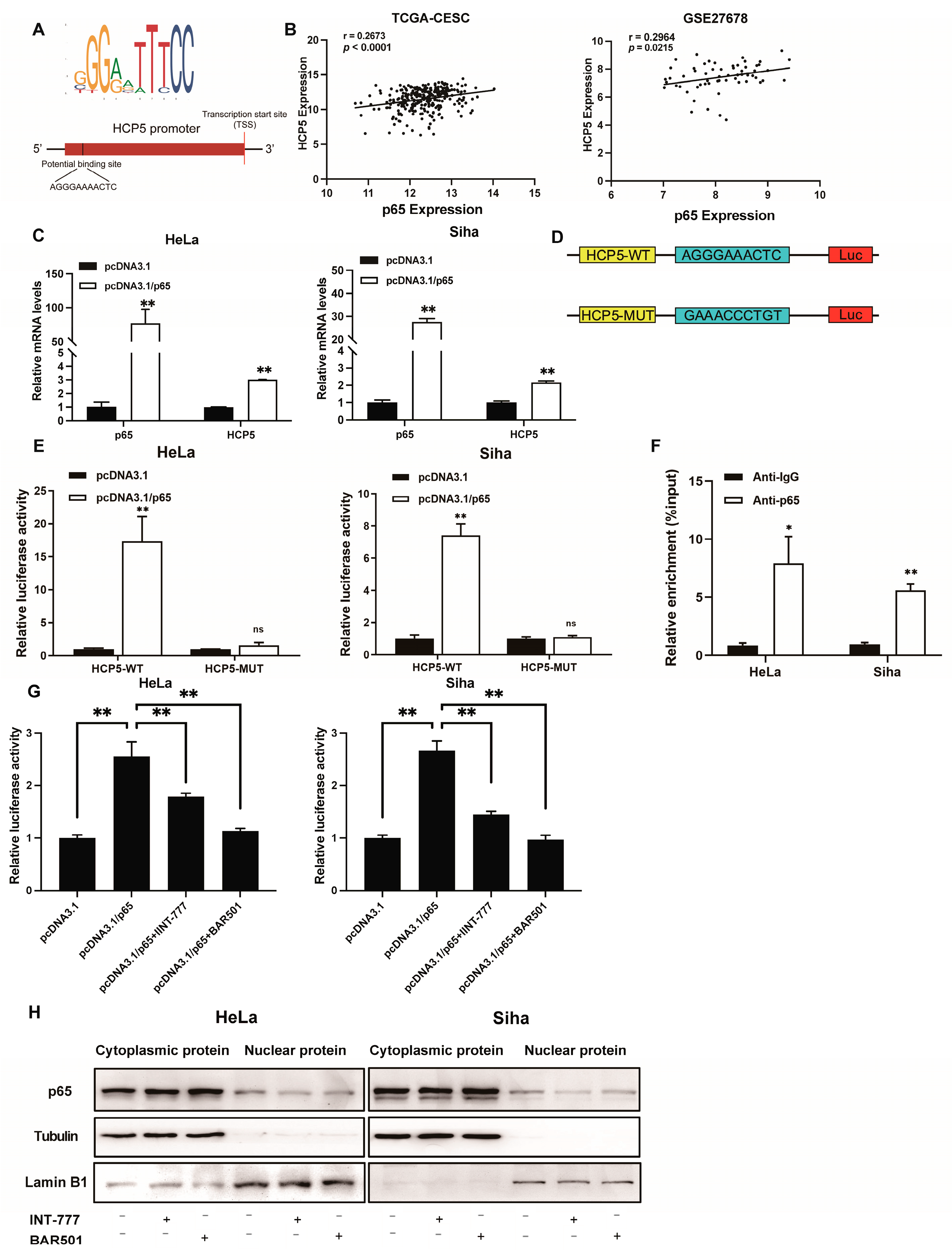 Ijms 25 08932 g005 Ijms 25 08932 g005