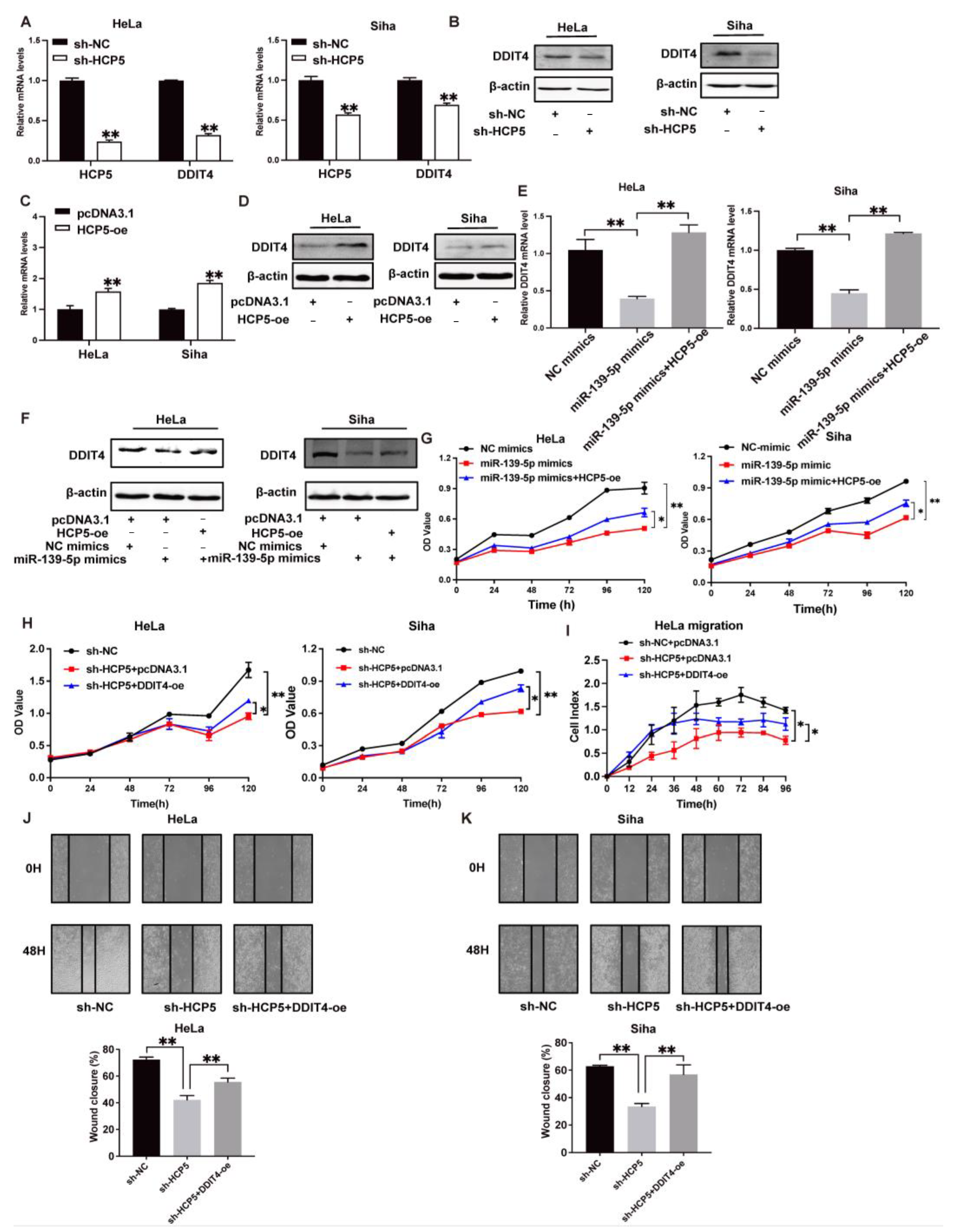 Ijms 25 08932 g007 Ijms 25 08932 g007