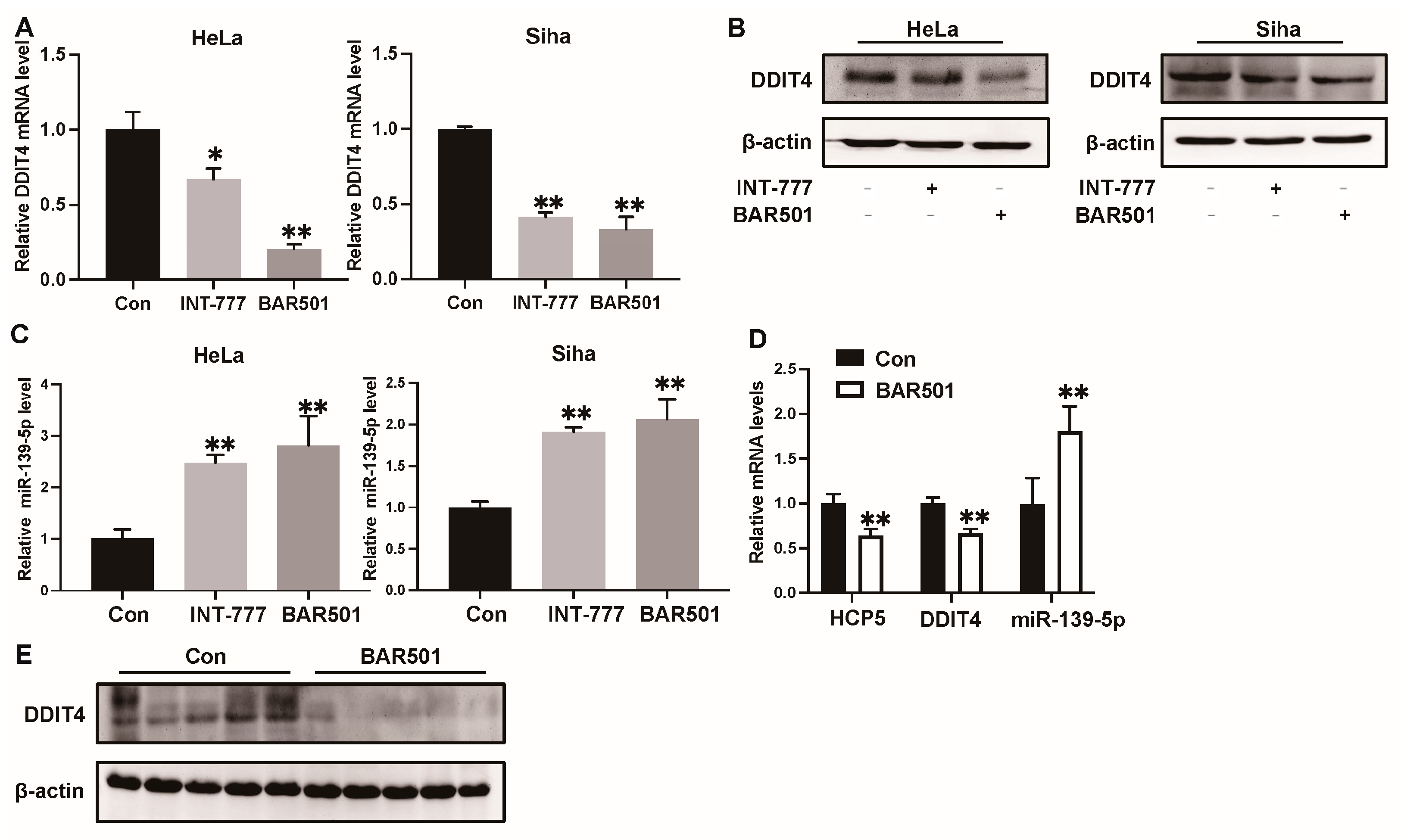Ijms 25 08932 g008 Ijms 25 08932 g008