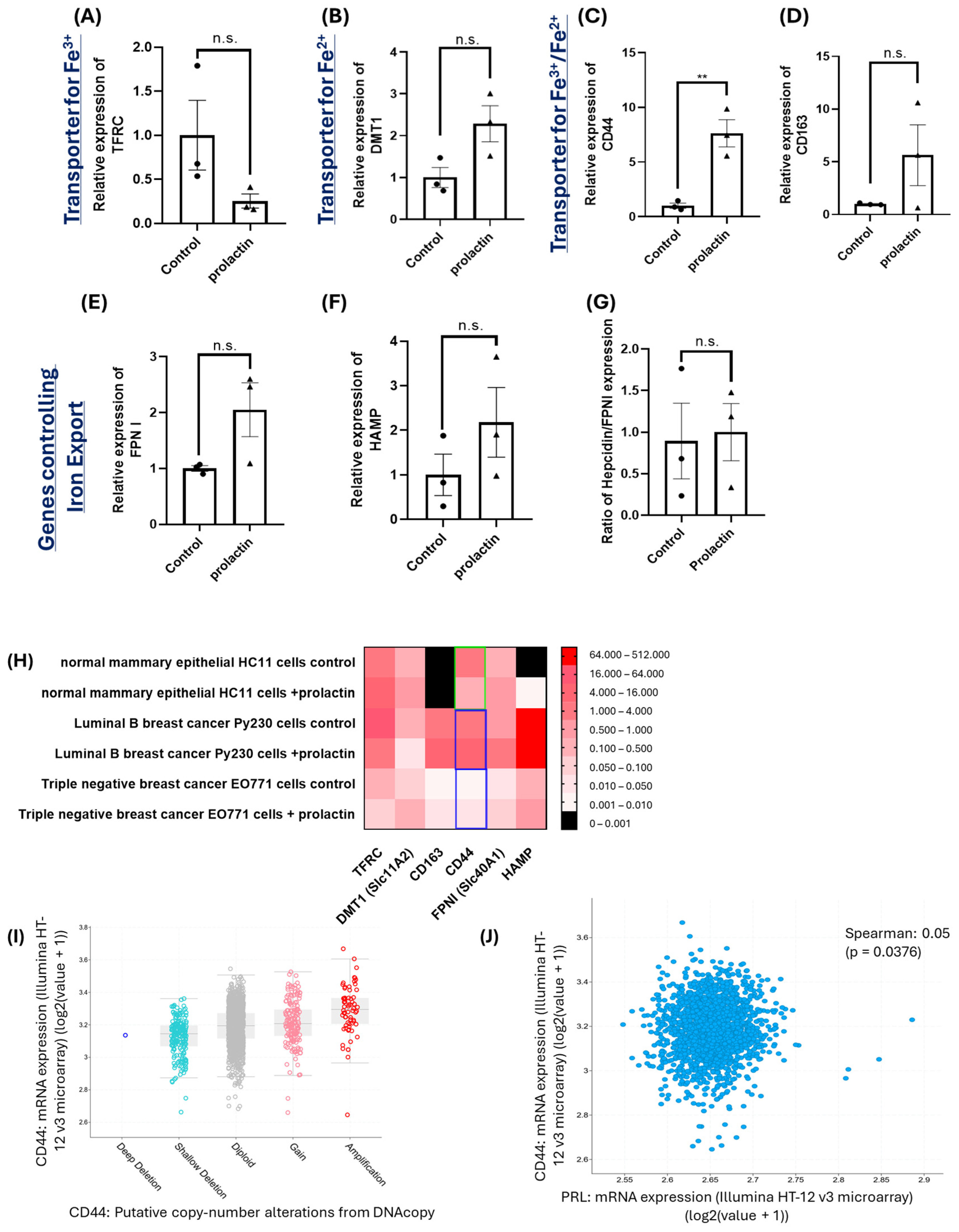 Ijms 25 08941 g002 Ijms 25 08941 g002