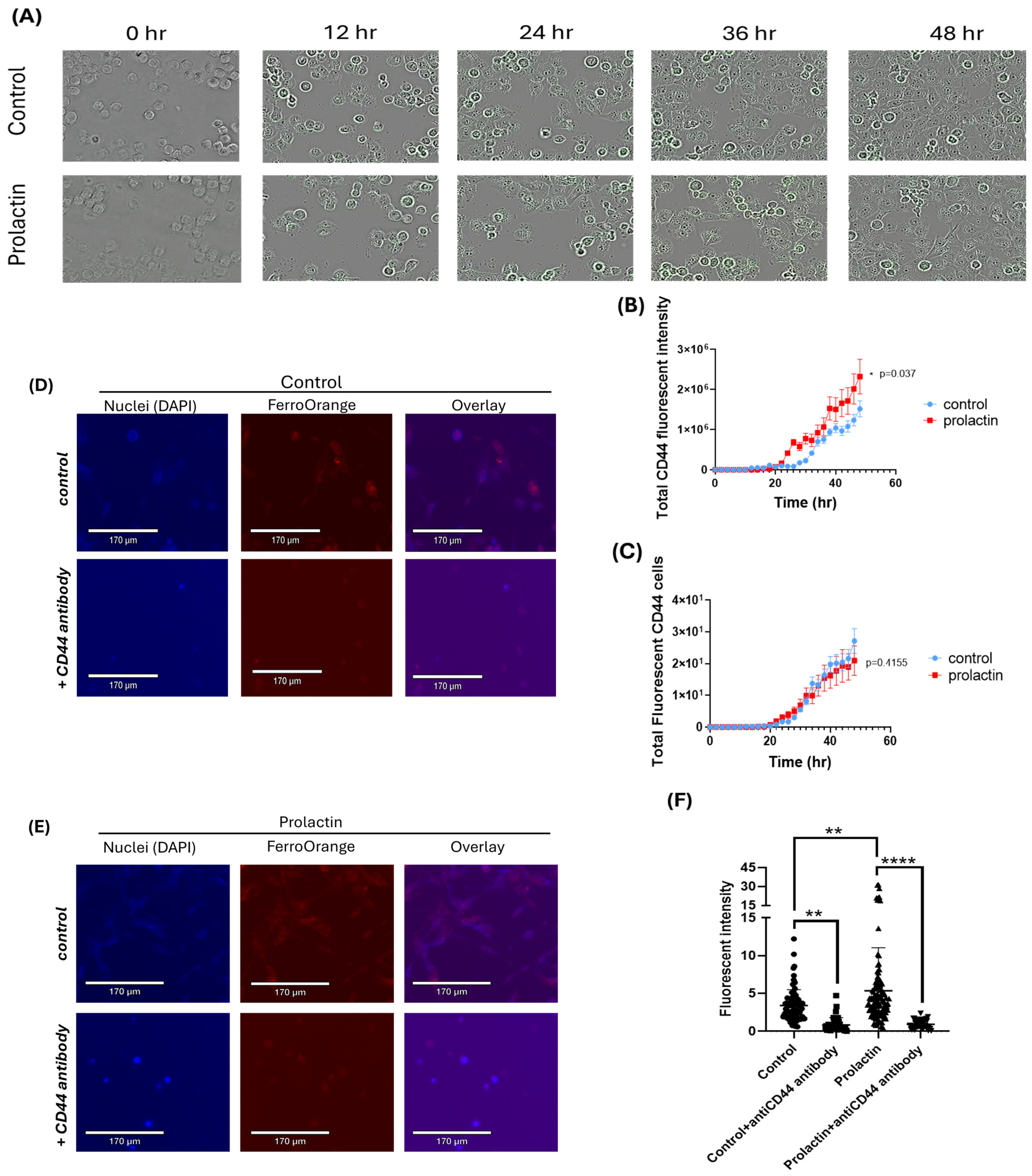 Ijms 25 08941 g003 Ijms 25 08941 g003