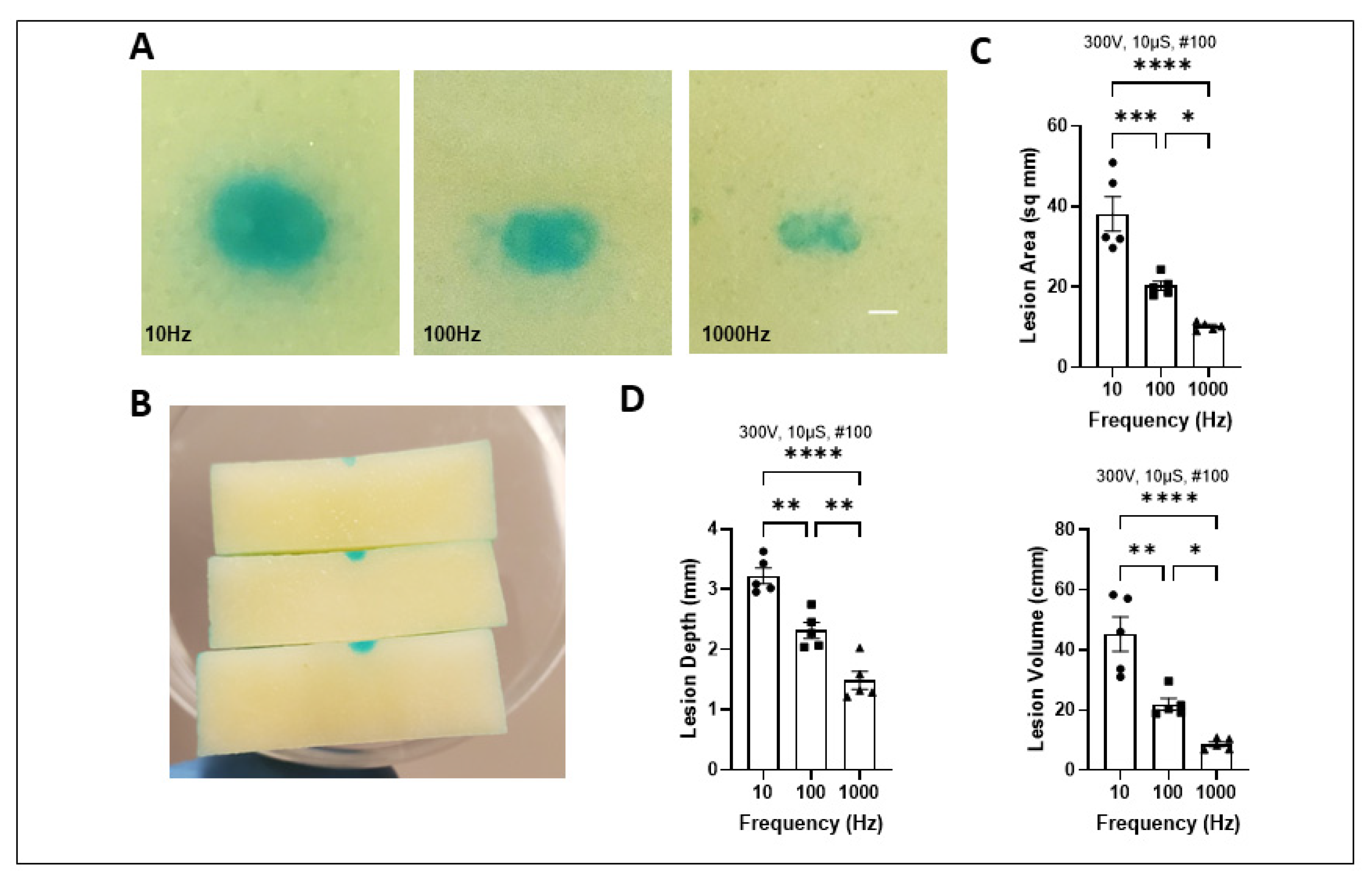 Ijms 25 08967 g005 Ijms 25 08967 g005