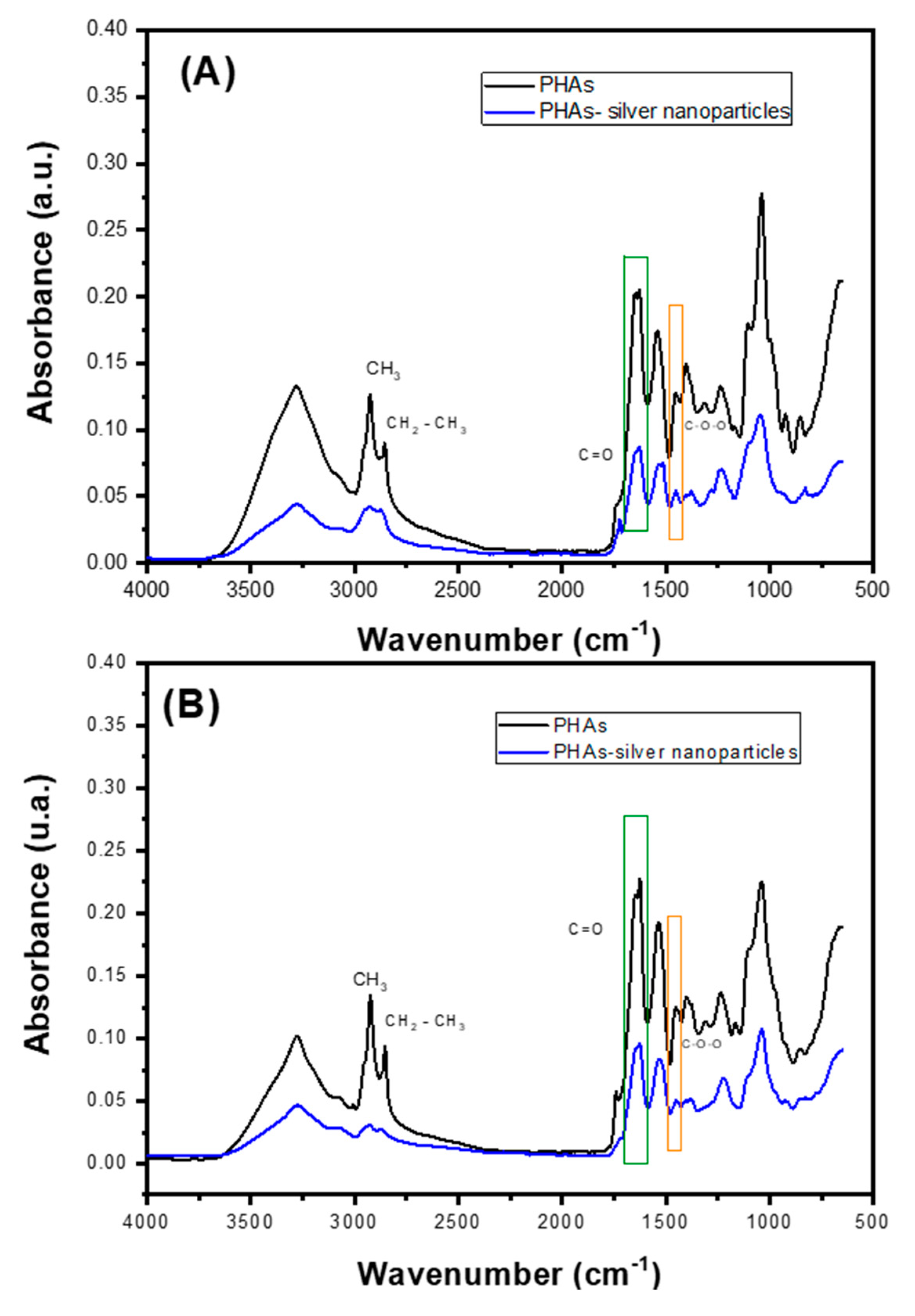 Ijms 25 08996 g005 Ijms 25 08996 g005