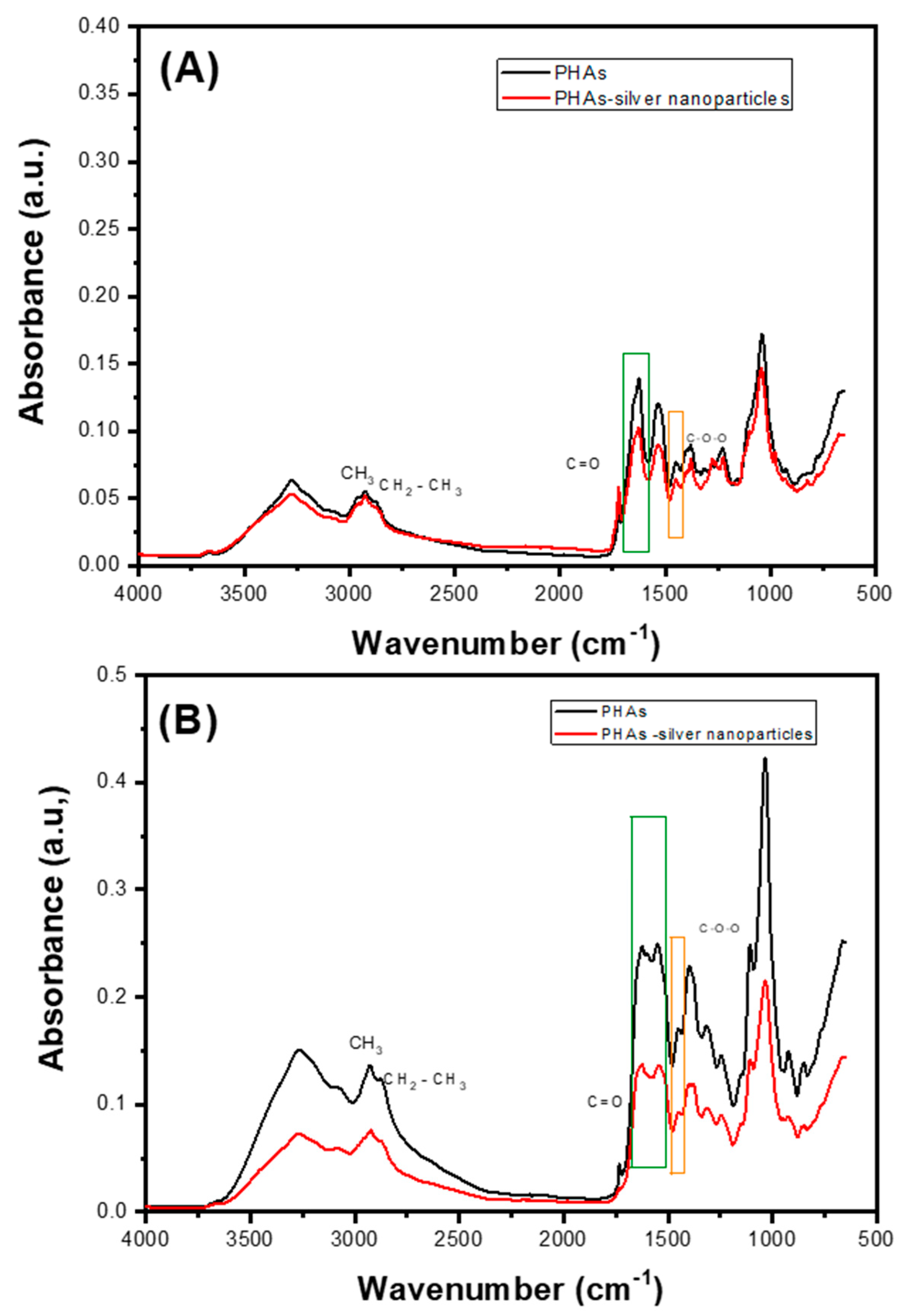 Ijms 25 08996 g006 Ijms 25 08996 g006