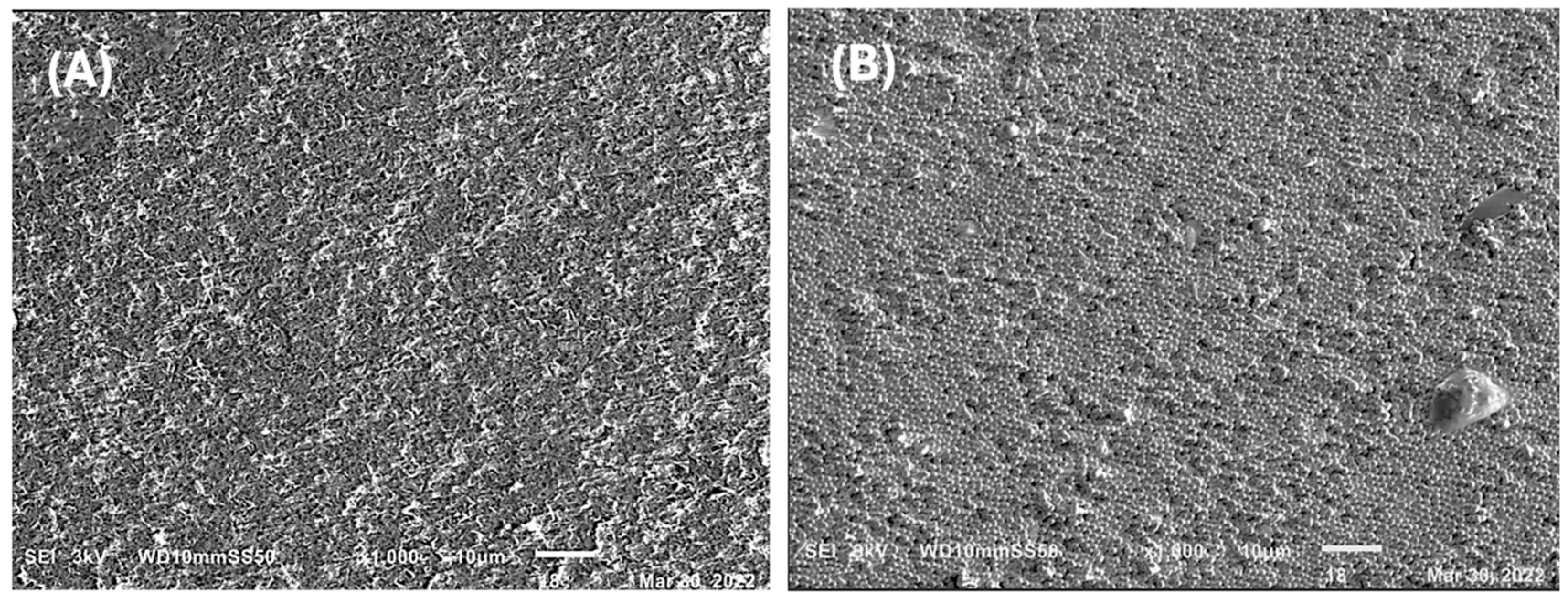 Ijms 25 08996 g007 Ijms 25 08996 g007